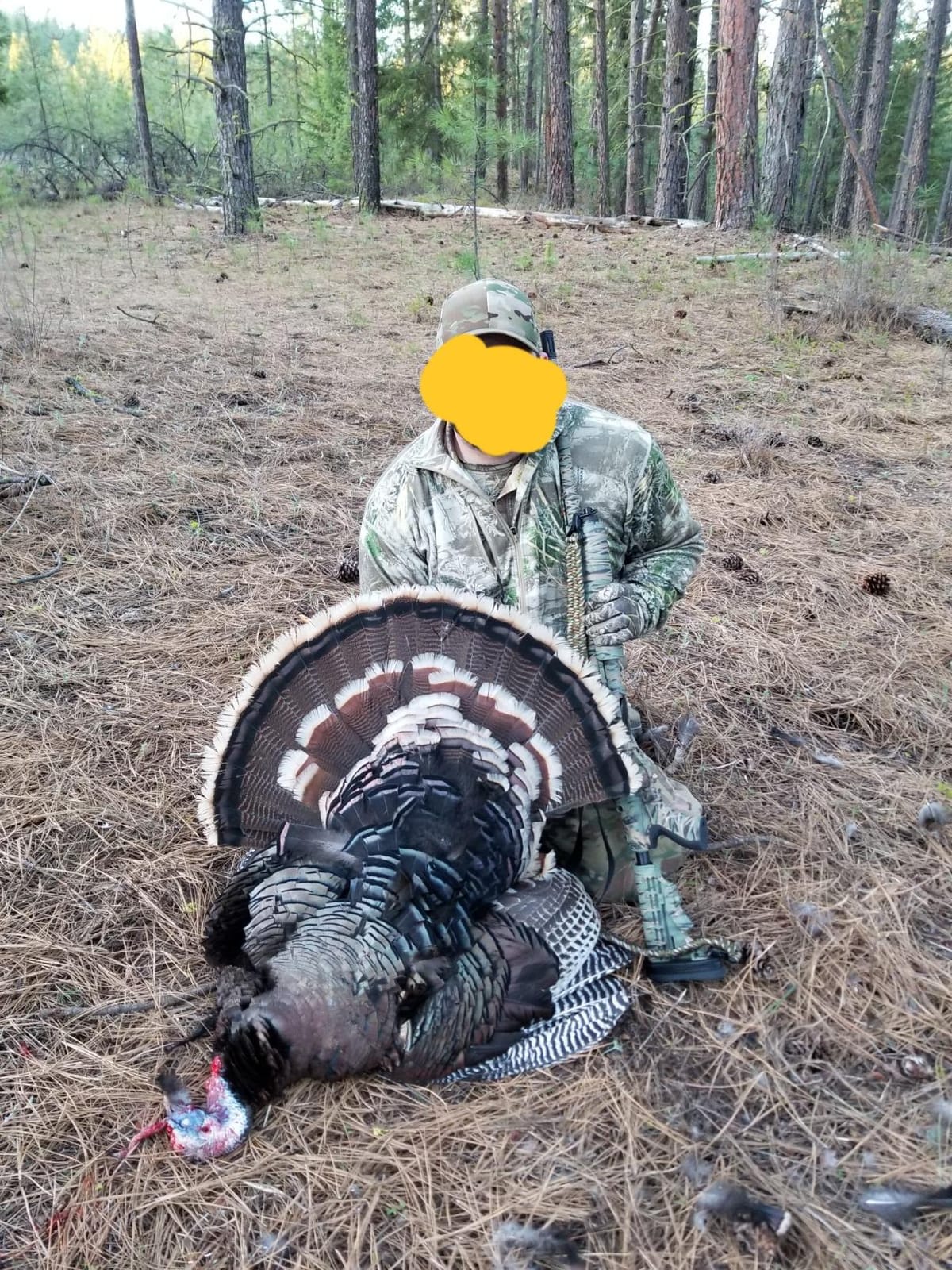 HUNTERS SPECIALTIES HS Strut Lite Flock Jake & Feeding Hen & Upright Hen Turkey Foldable Hollow Relaxed Body Realistic3-Pack Combo Set Decoys customer photo 1