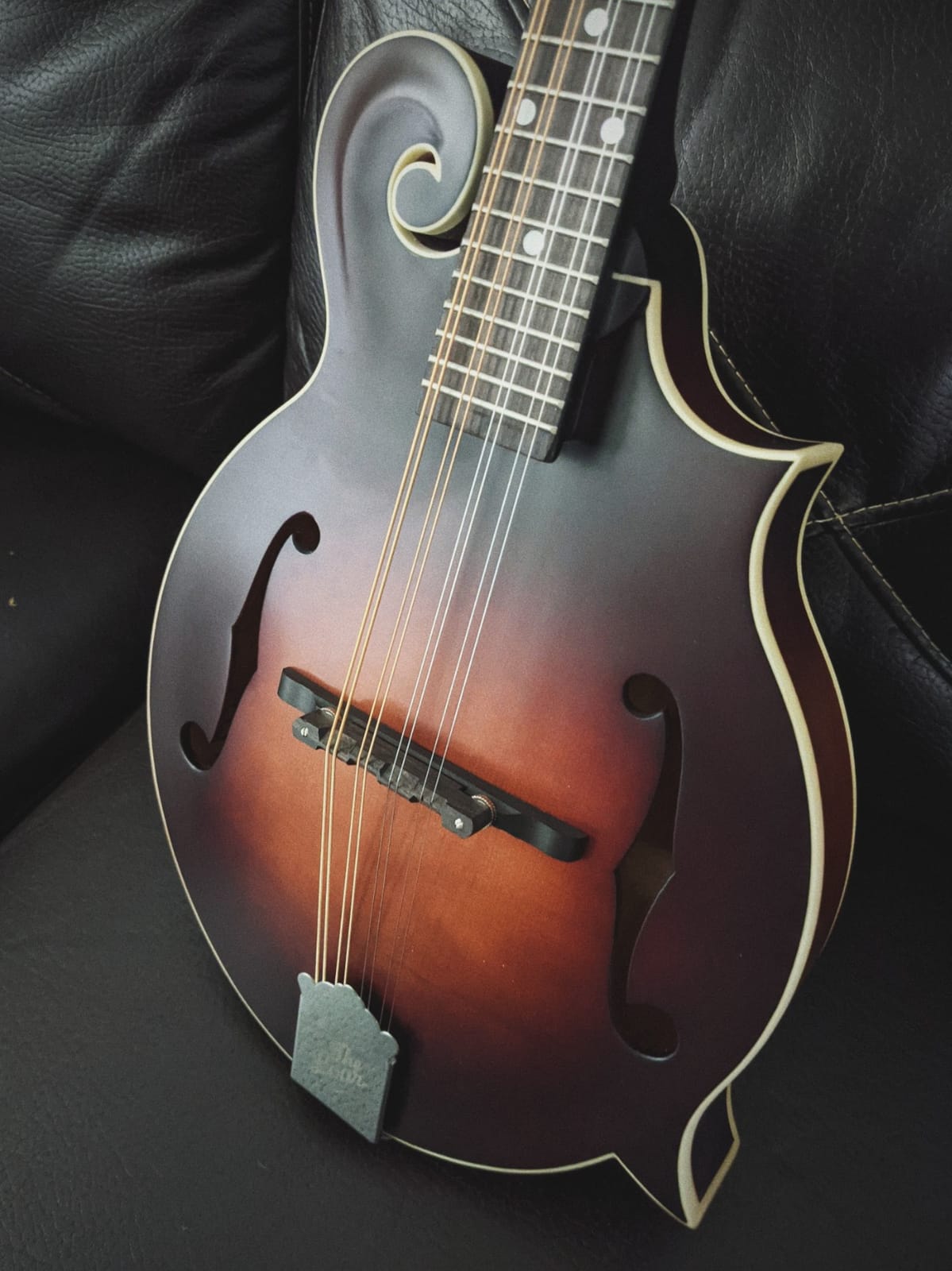 The Loar LM-310F-BRB Honey Creek F-Style Mandolin customer photo 2