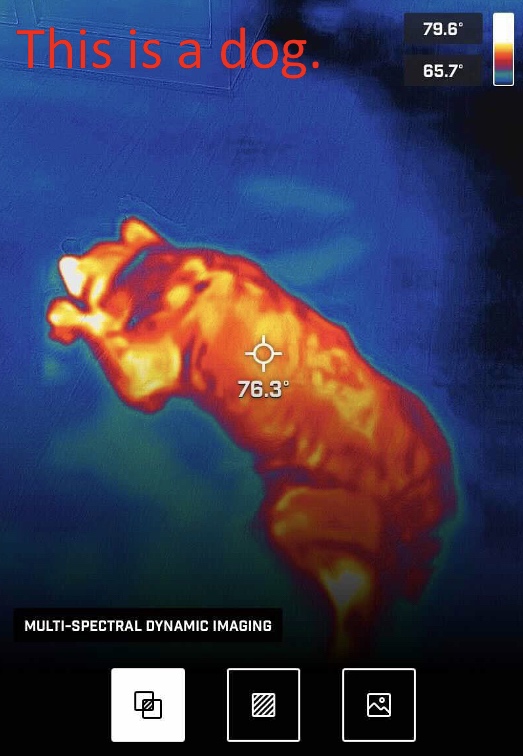 Flir One Pro - Thermal Imaging Camera for iOS Smartphones (iPhone 14 and Older w/Lightning Port), 480x360 Super Resolution (160x120 Native IR) customer photo 2