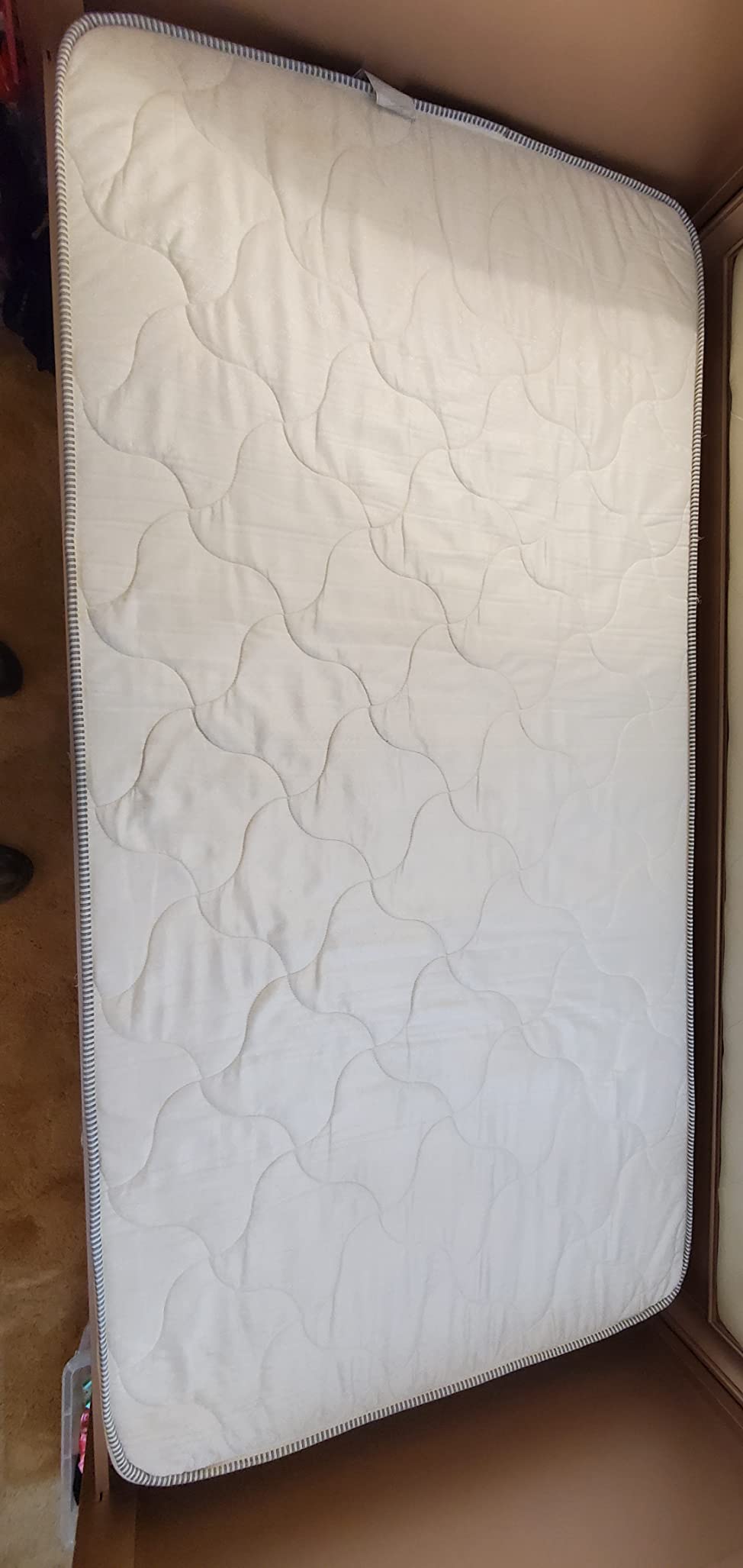 Mytee - Contractor’s Special Heated Carpet Extractor customer photo 1