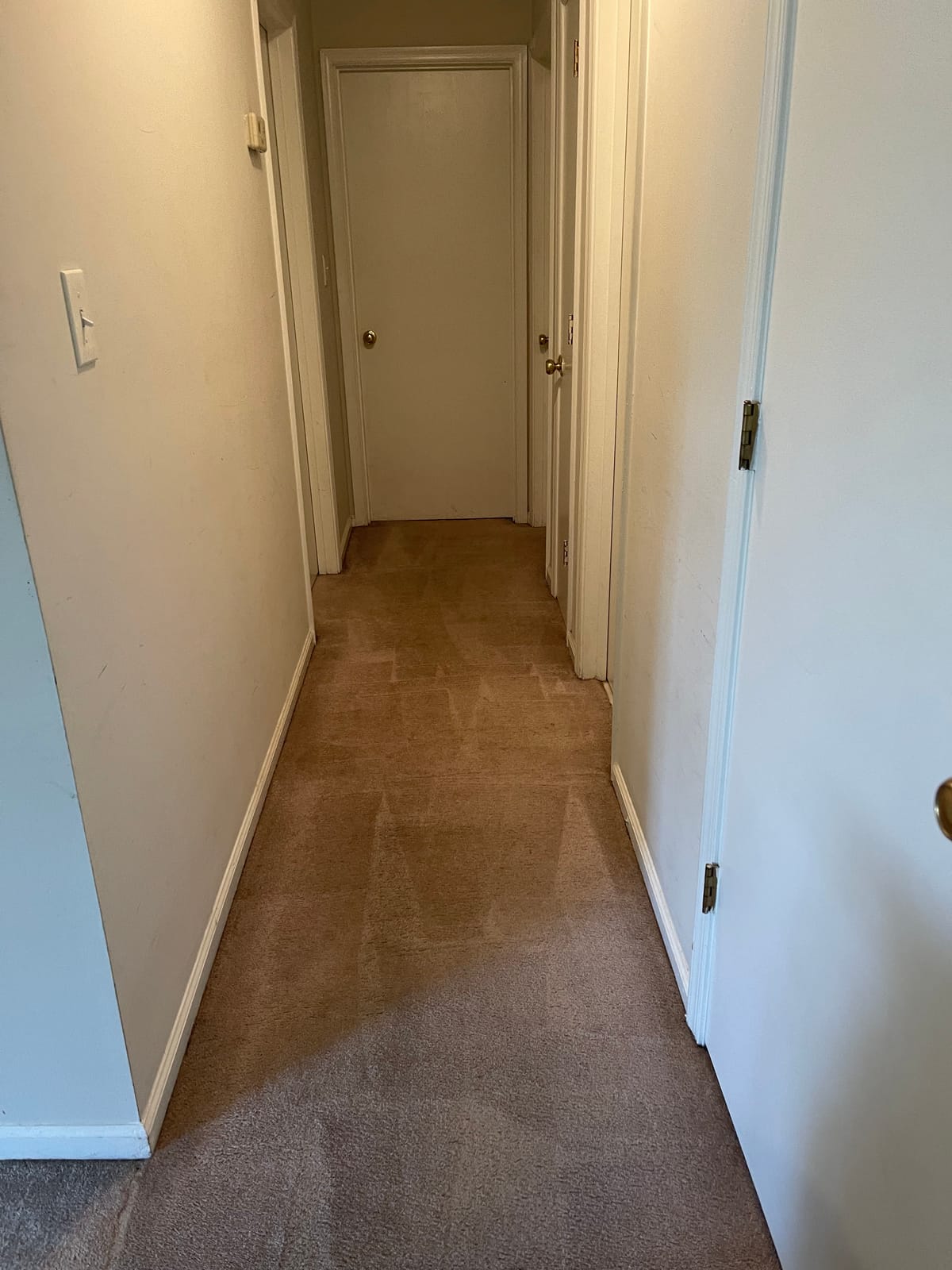 Mytee - Contractor’s Special Heated Carpet Extractor customer photo 2