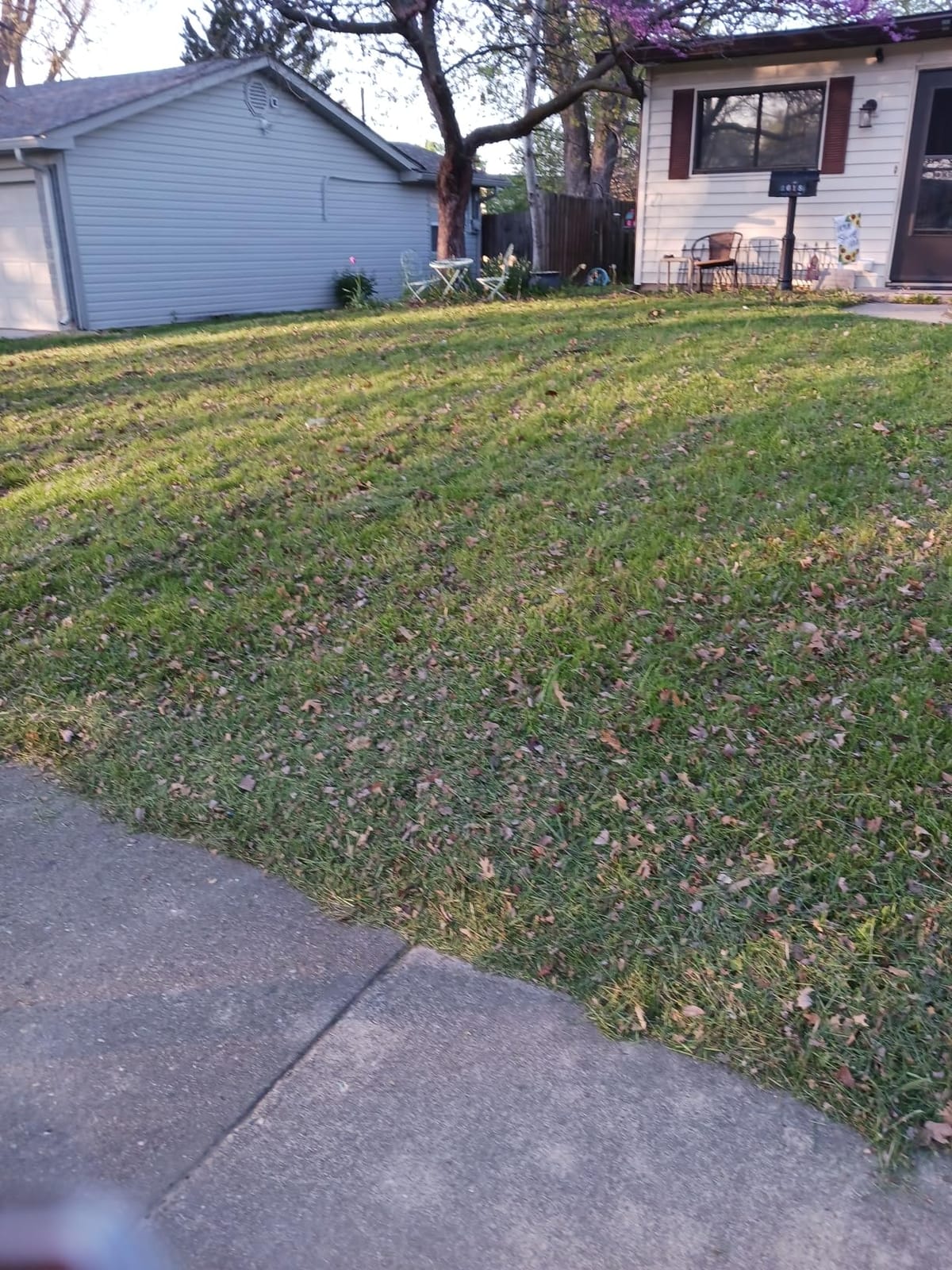 BLACK+DECKER Electric Lawn Mower with Bike Handle, 15-Inch, 10-Amp, Corded (BEMW472BH) customer photo 1