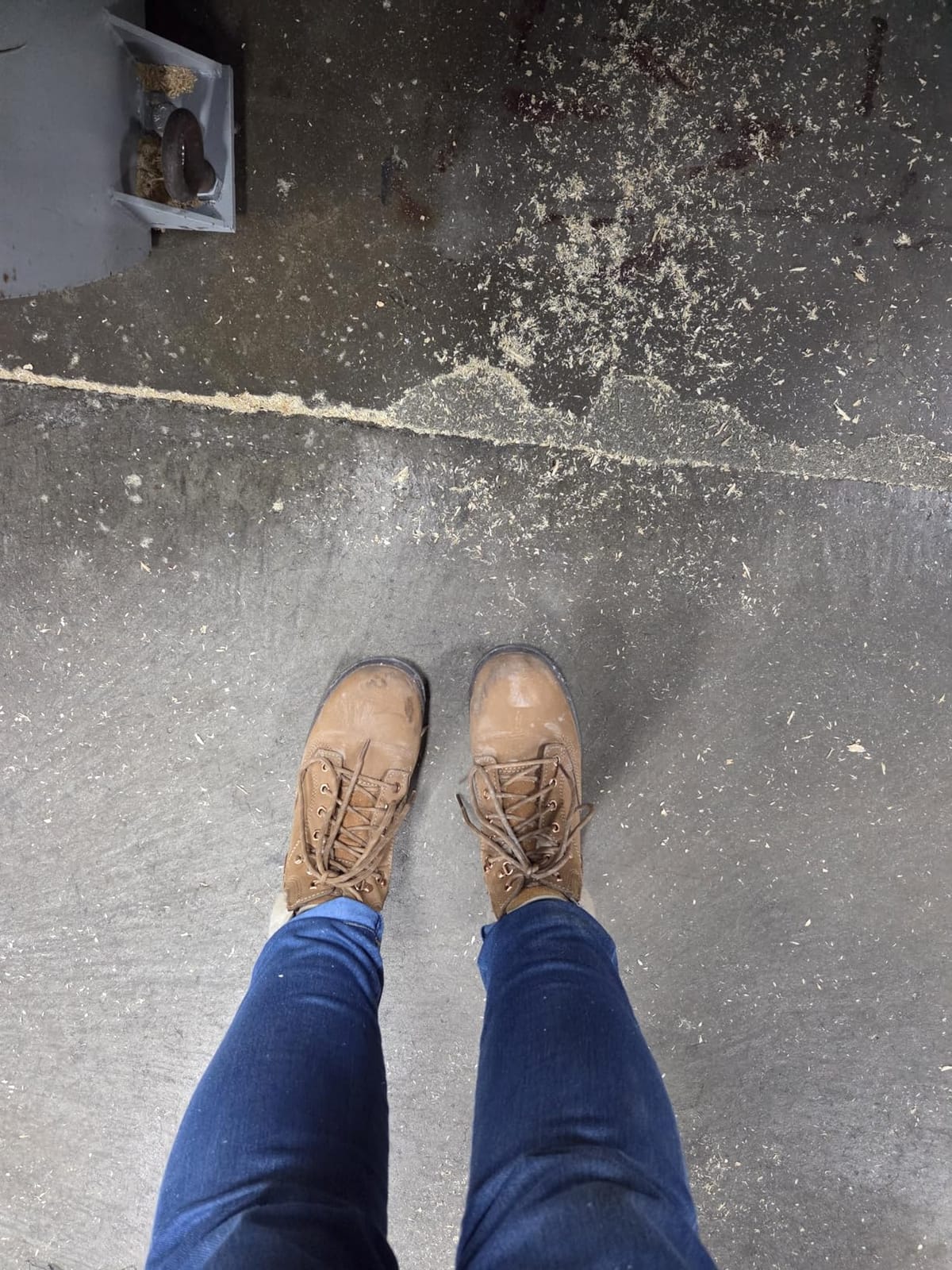 Cat Footwear Women's Tess Steel Toe Work Boot customer photo 1
