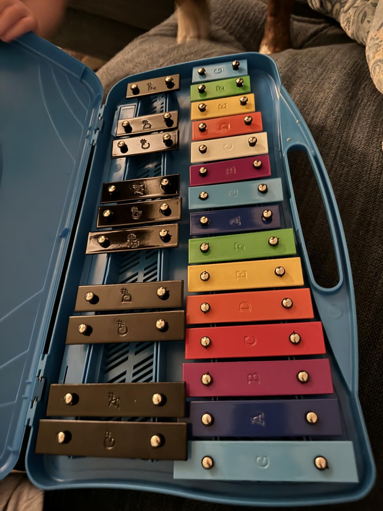 Glockenspiel Xylophone for Kids Music Toys 8 Notes with 15-Song Songbook customer photo 1