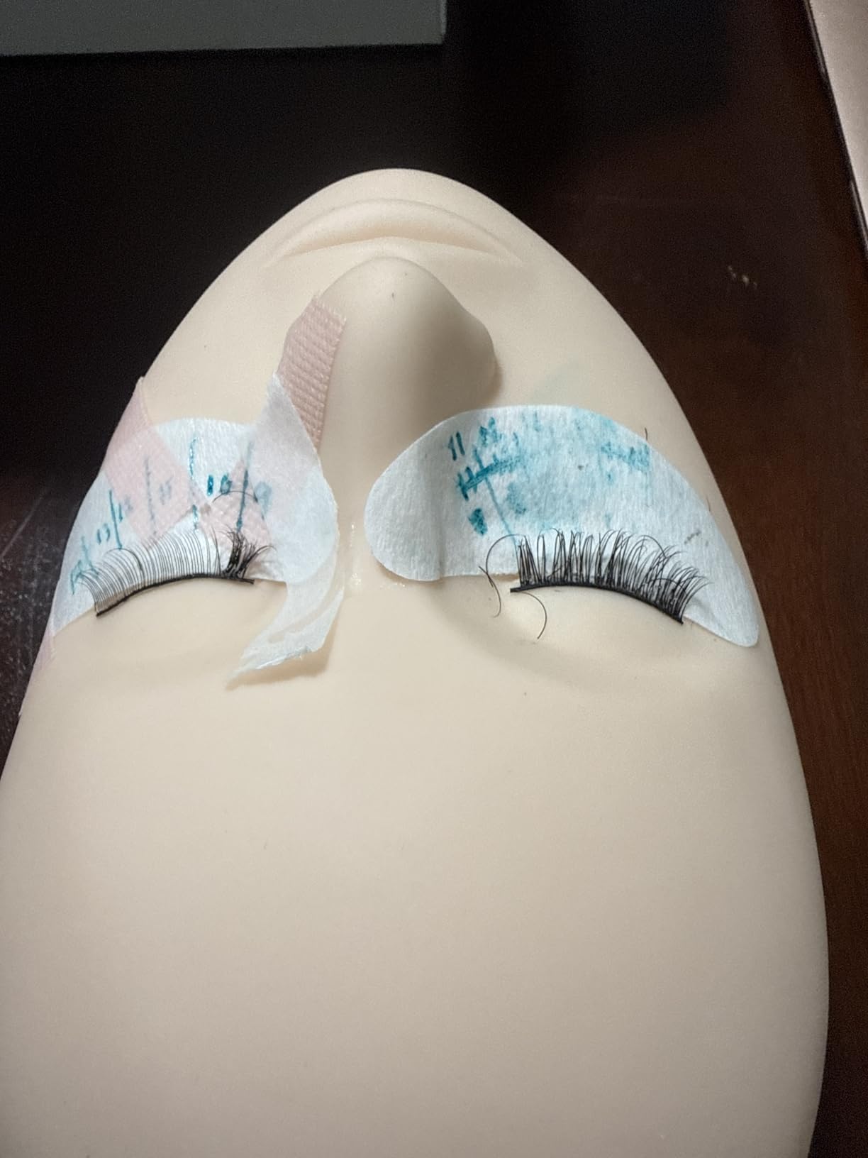 Hoka Lash Eyelash Extension Kit & Training Course and Certification, Professional Lash Extension Kit for Beginners Includes Practice Mannequin Head, Lash Trays, Glue, Tweezers, Fan & More customer photo 2