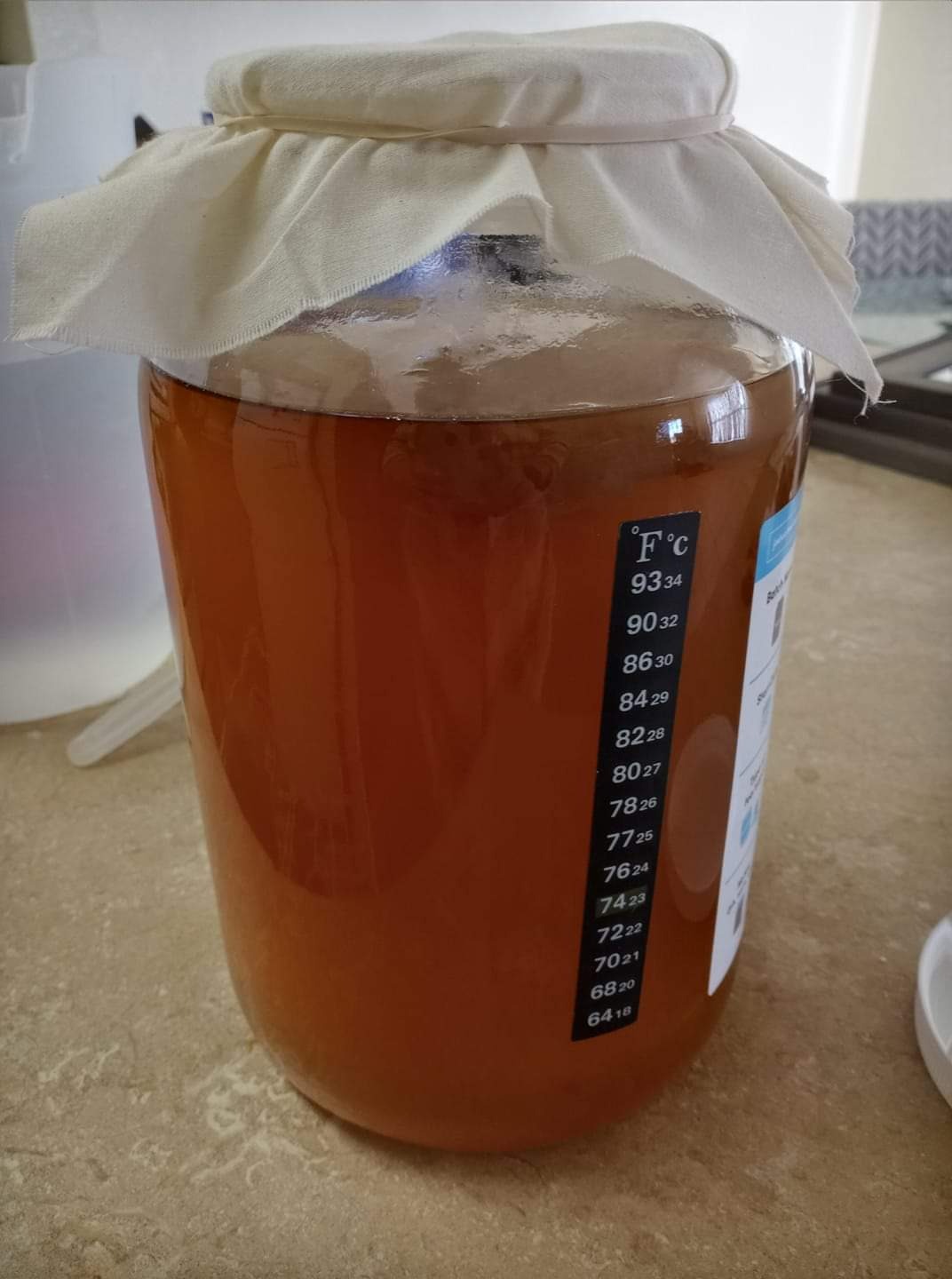 Starter Kit – Includes Organic SCOBY, Starter Liquid, 1 Gallon Glass Jar, Temp Gauge, Tea, and Sugar customer photo 1