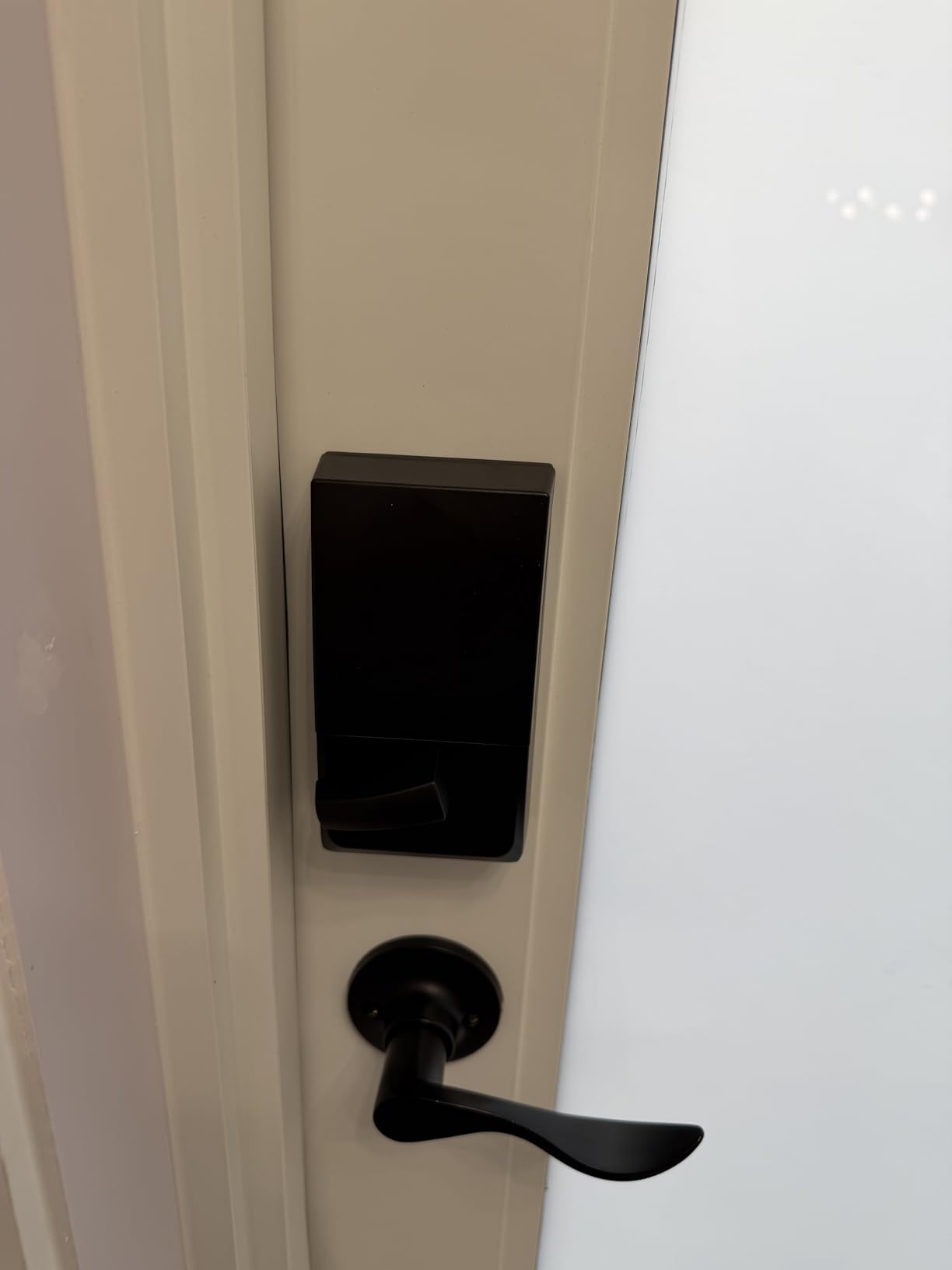 Schlage Encode Smart WiFi Deadbolt Lock with Camelot Trim, Satin Nickel customer photo 2