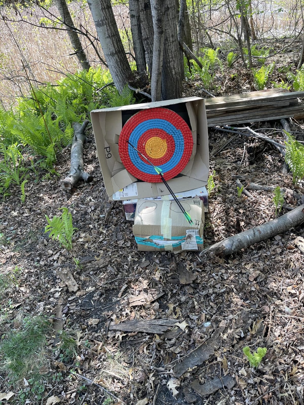 Dostyle Archery Targets Traditional Solid Straw Round Archery Target Shooting Bow Coloured Rope Target Face Three Layer for Shooting Practice customer photo 1
