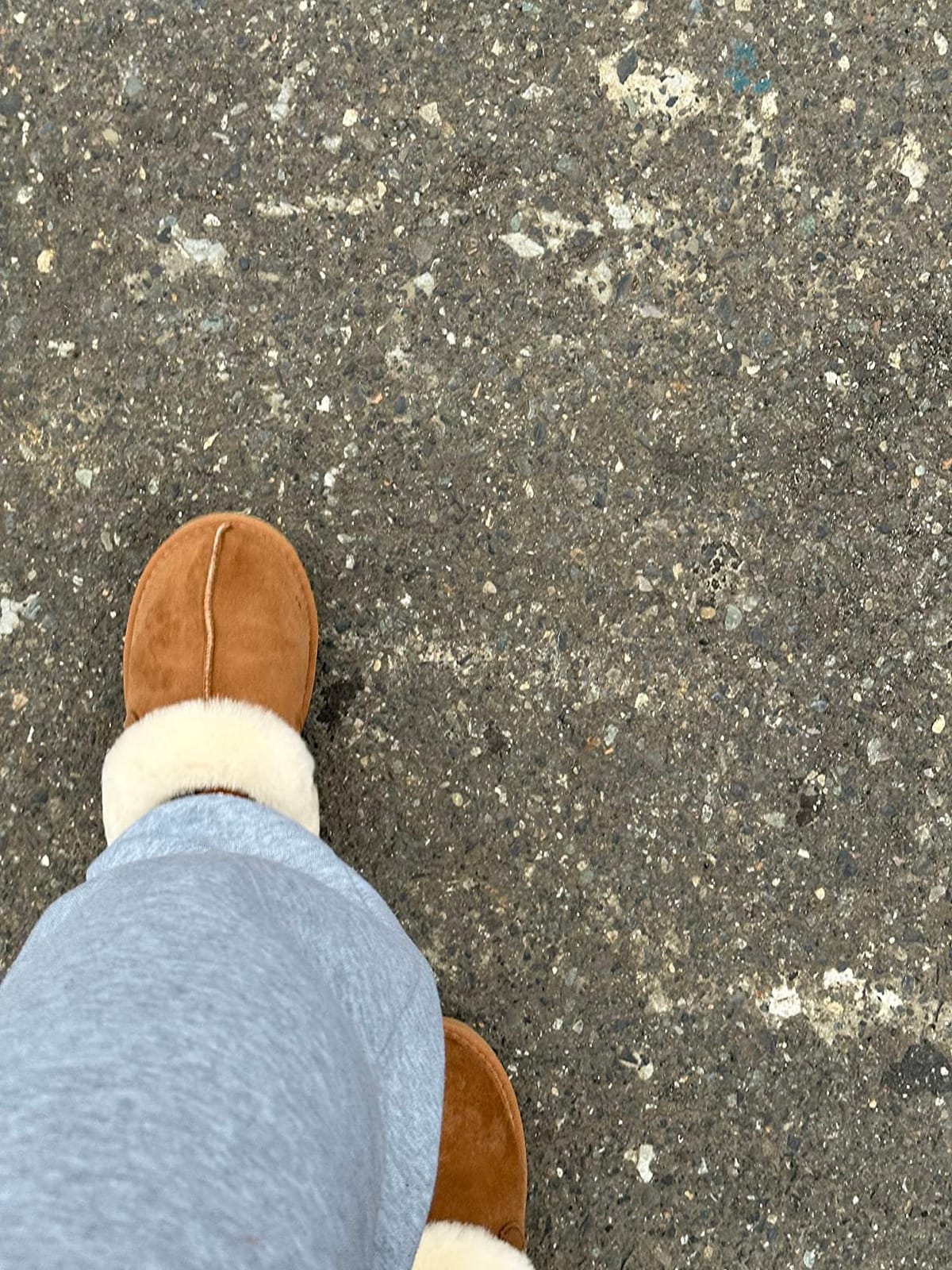 Fireside by Dearfoams Women’s Sydney Shearling Slippers, Chestnut, 9 customer photo 1