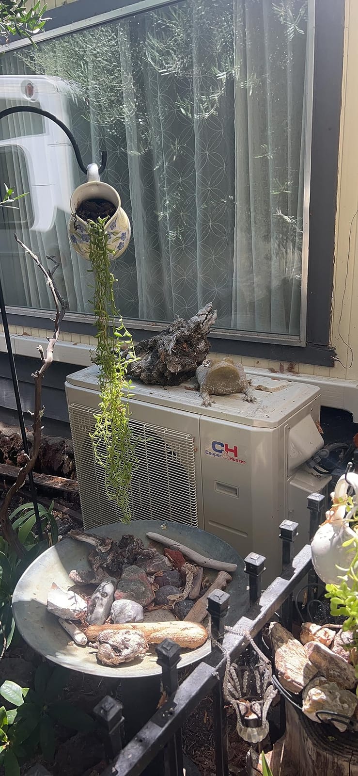 Cooper & Hunter 28,000 BTU 2-Zone Wall Mount Mini Split AC Heat Pump, 230V customer photo 1