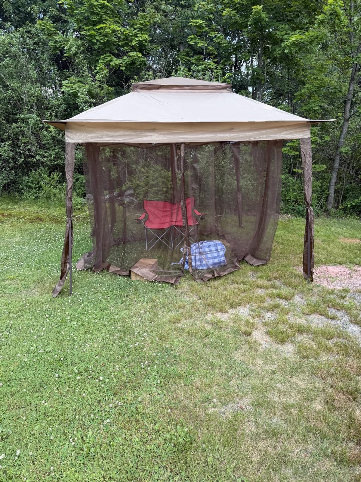 COOS BAY 11x11 Pop Up Gazebo with Netting, Canopy Tent, Beige customer photo 1