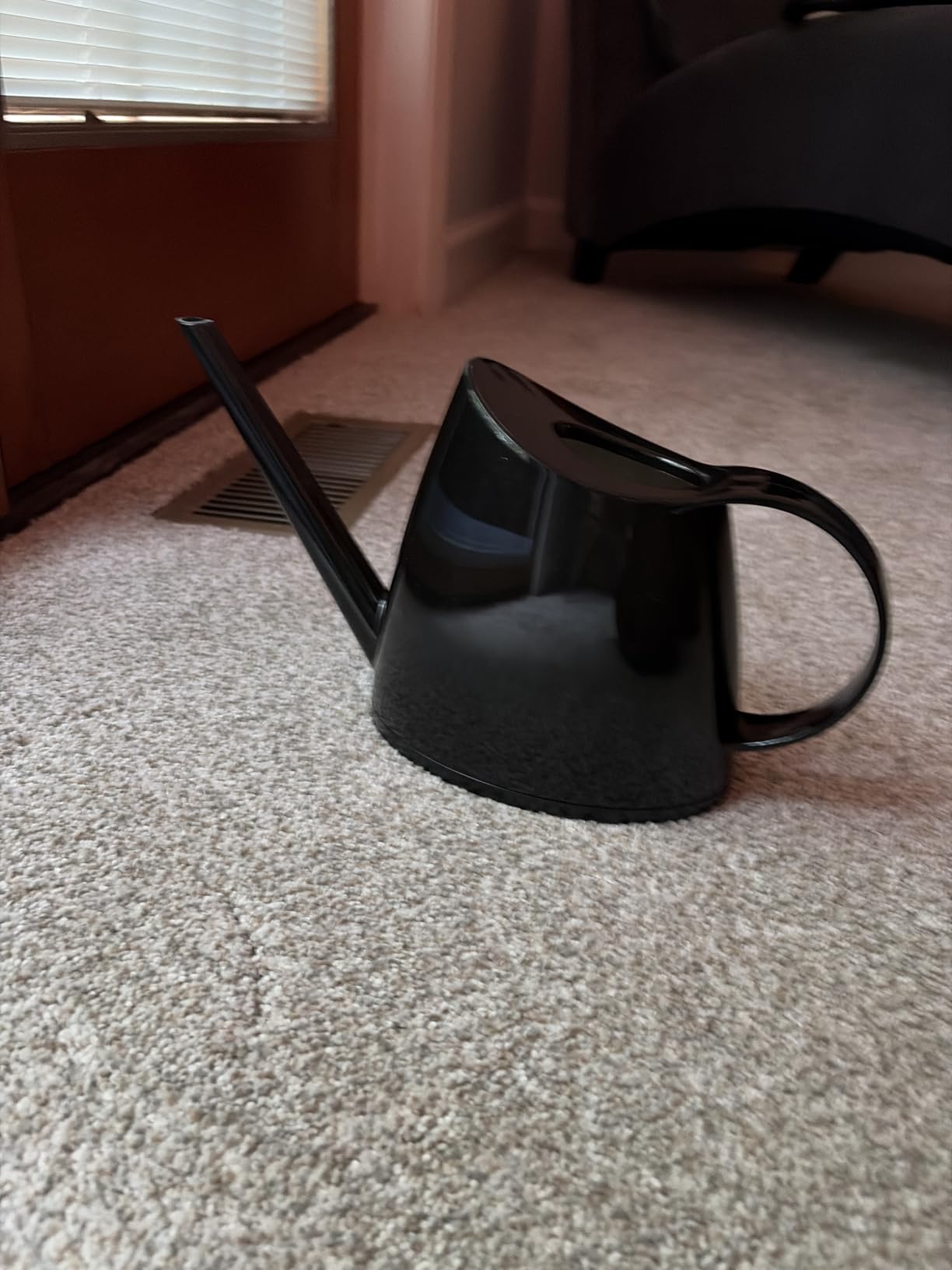 WhaleLife Small Indoor Plant Watering Can - 1.4L Dark Green Long Spout customer photo 1
