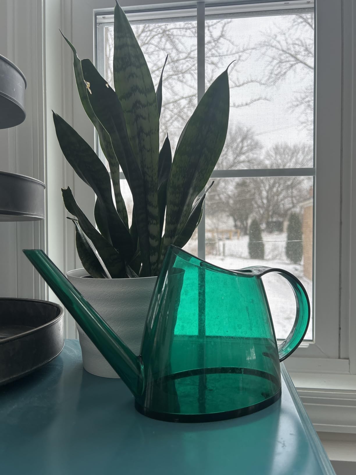 WhaleLife Small Indoor Plant Watering Can - 1.4L Dark Green Long Spout customer photo 2