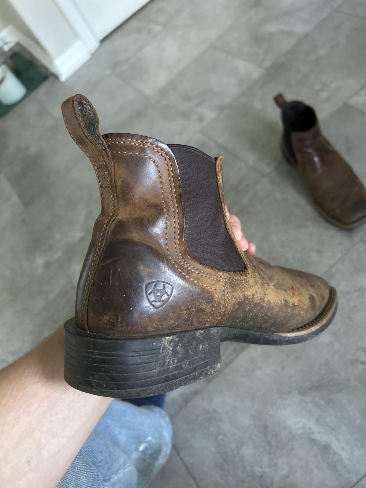 ARIAT Sport Booker Ultra customer photo 1