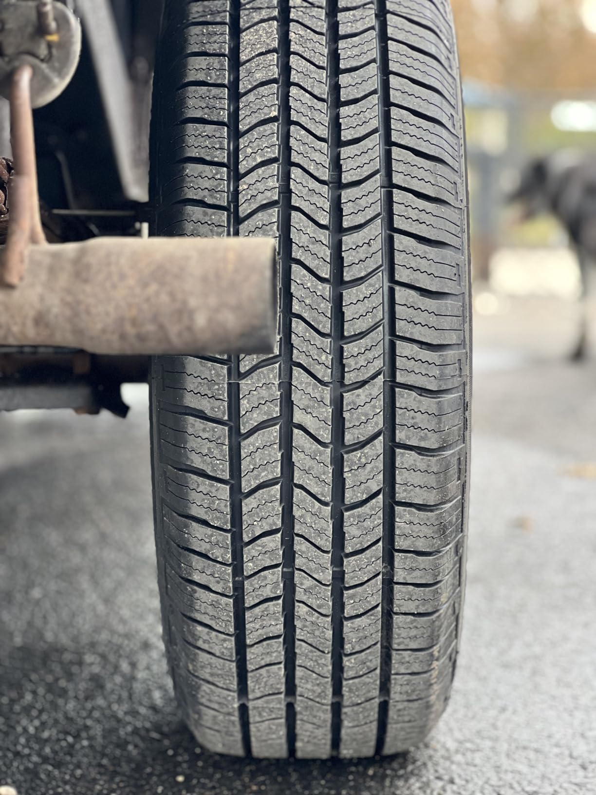 Starfire Solarus HT All-Season 265/70R16 112T Tire customer photo 1