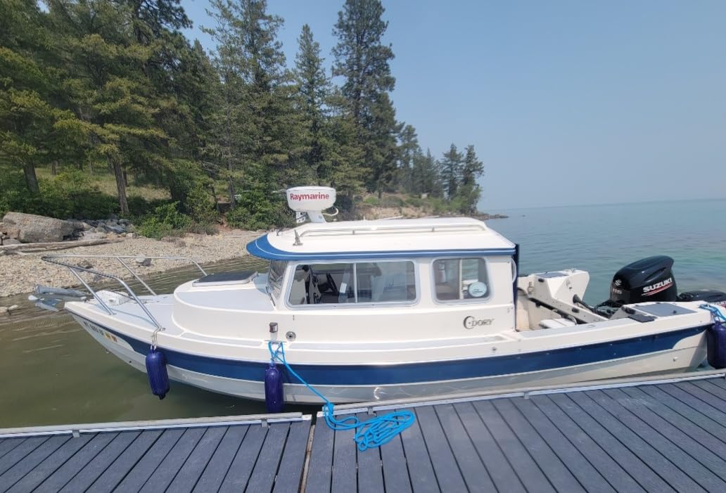 White Water - B00367 5-Step Gunwale-Mounted Removable Ladder | Marine 304 Stainless Steel Heavy-Duty Boarding Ladder | Corrosion-Resistant w/Deck Mount Brackets | Non-Slip Steps for Boats & Yachts customer photo 1
