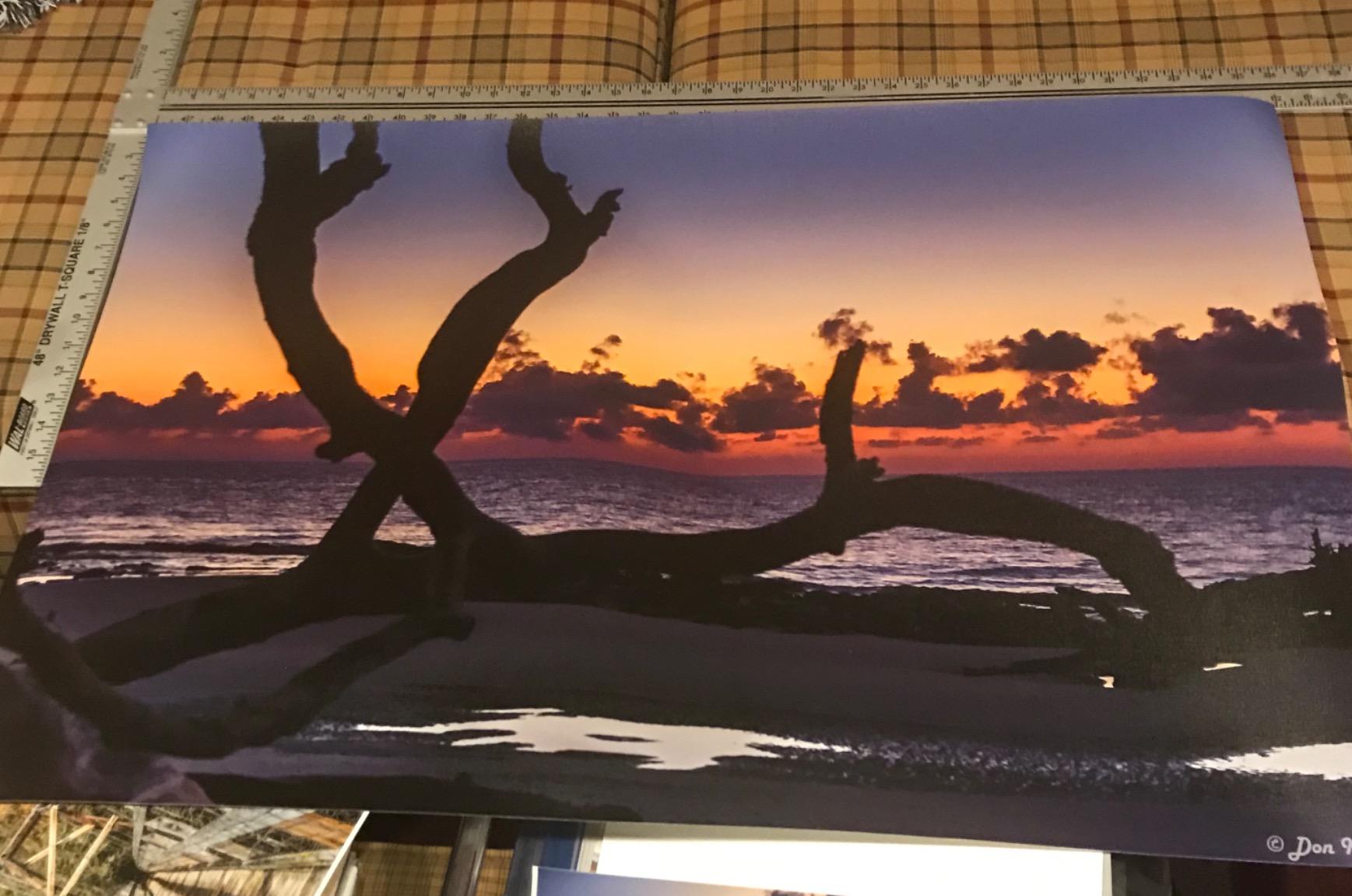 CANON PRO 2100 24 WIDE, FORMAT FINE ART PRINTER customer photo 2
