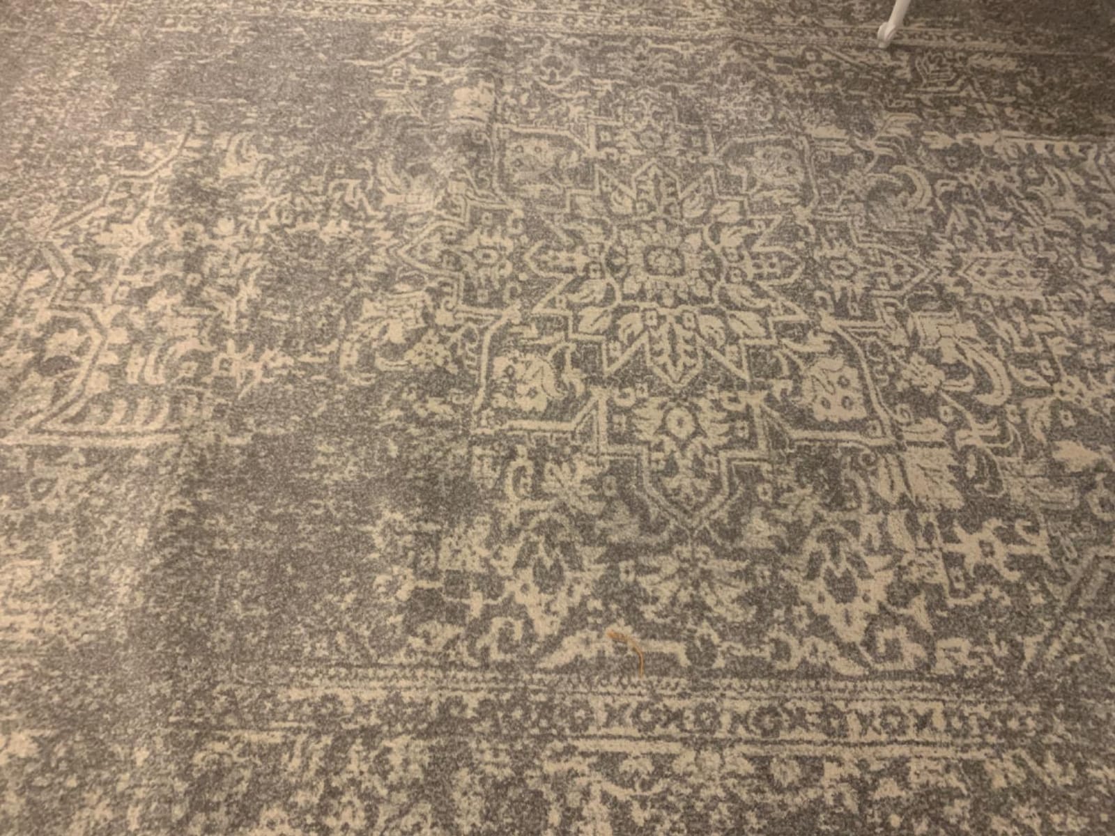 SAFAVIEH Evoke Area Rug 9x12, Large Ivory & Taupe EVK256E customer photo 1