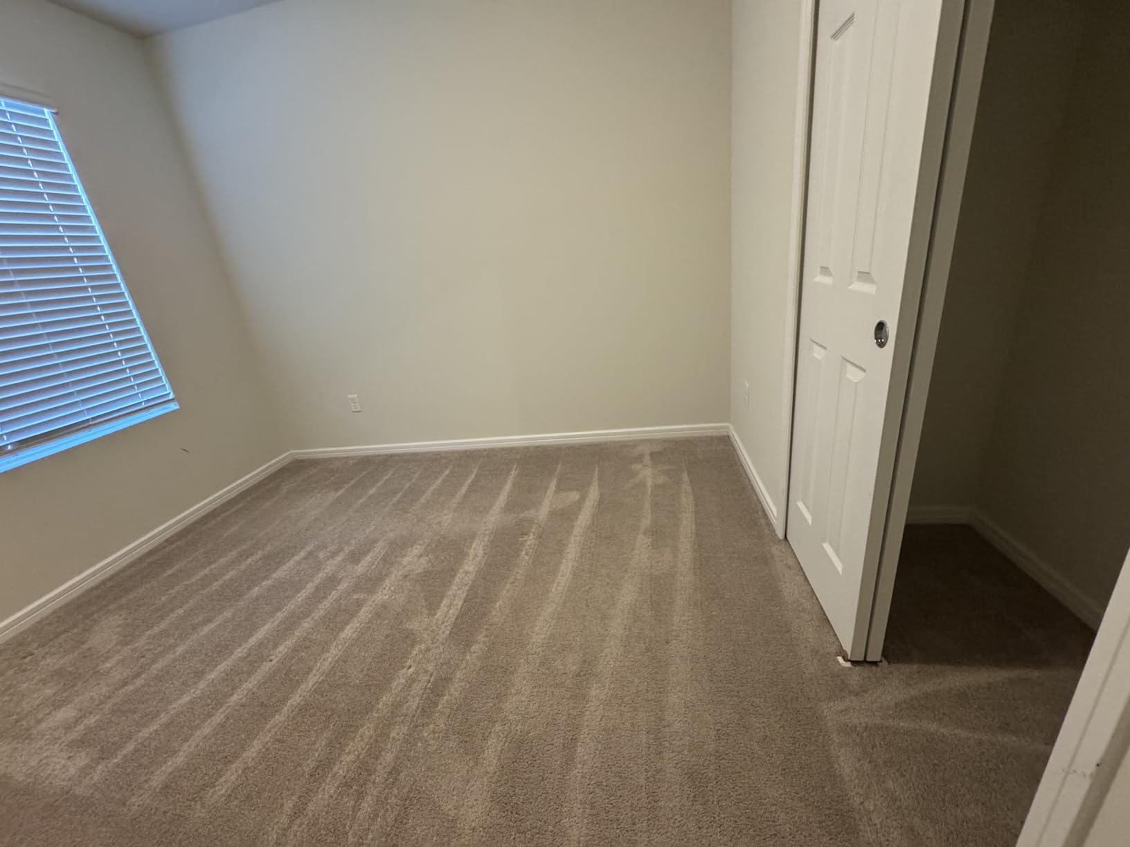 Rug Doctor Mighty Pro X3 Commercial Carpet Cleaner with Oxy Cleaner Pack customer photo 2