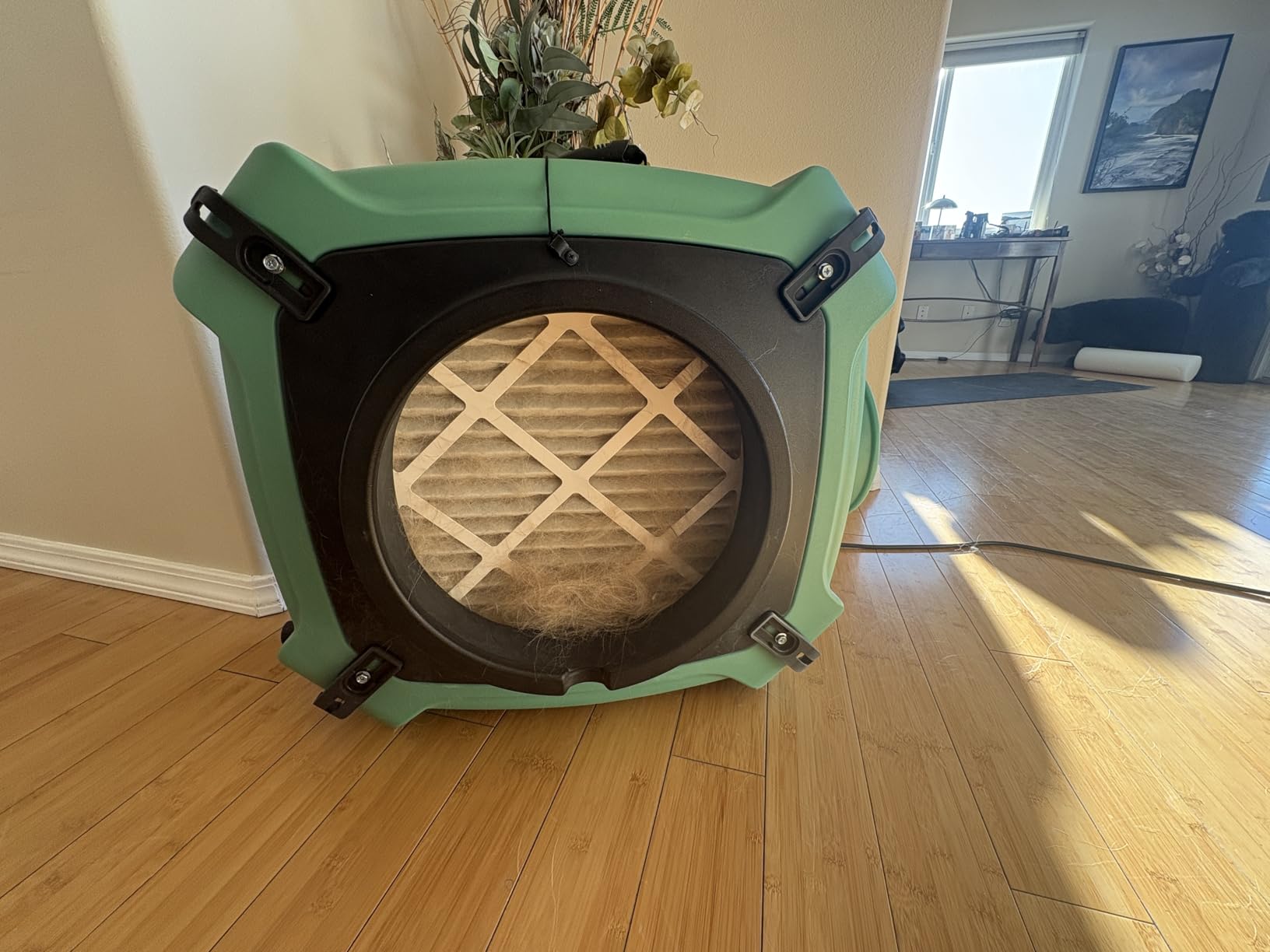 ALORAIR PureAiro HEPA Max 870 Air Scrubber 3-Stage Filtration, Blue customer photo 1