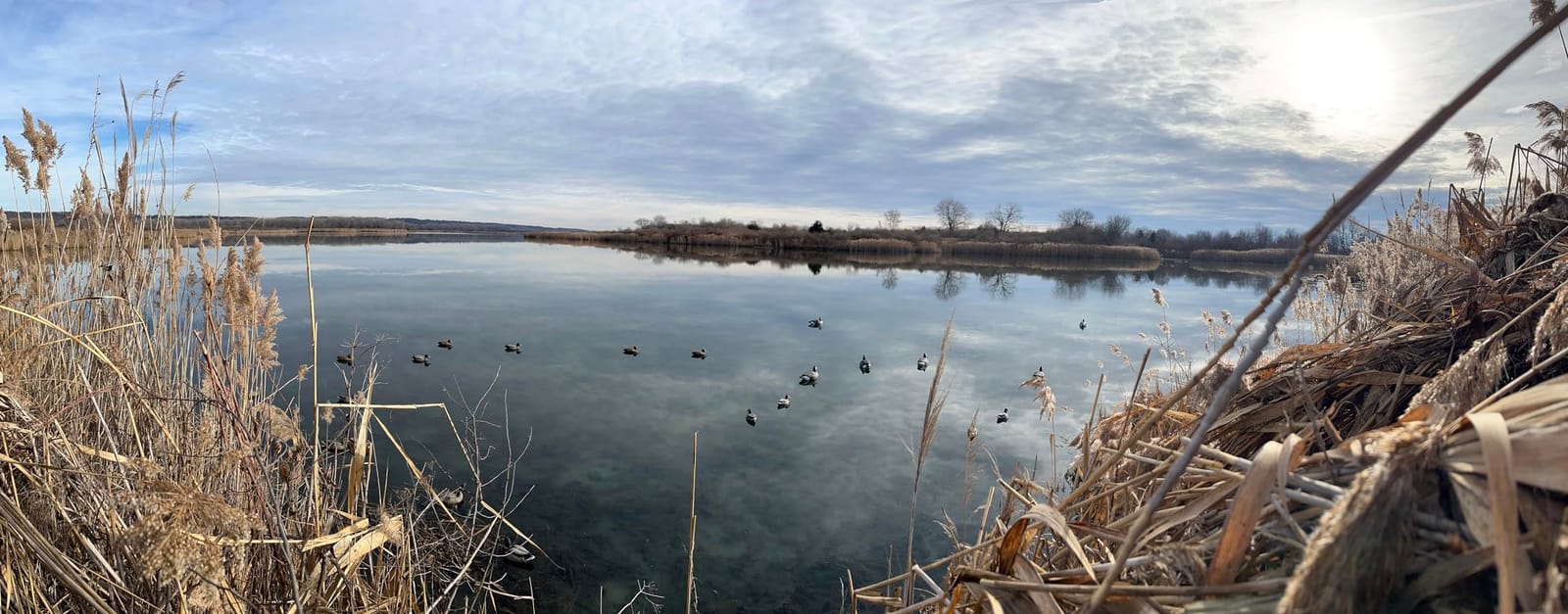 Final Approach Last Pass Mallard Floaters, Decoy 12 Pack customer photo 1
