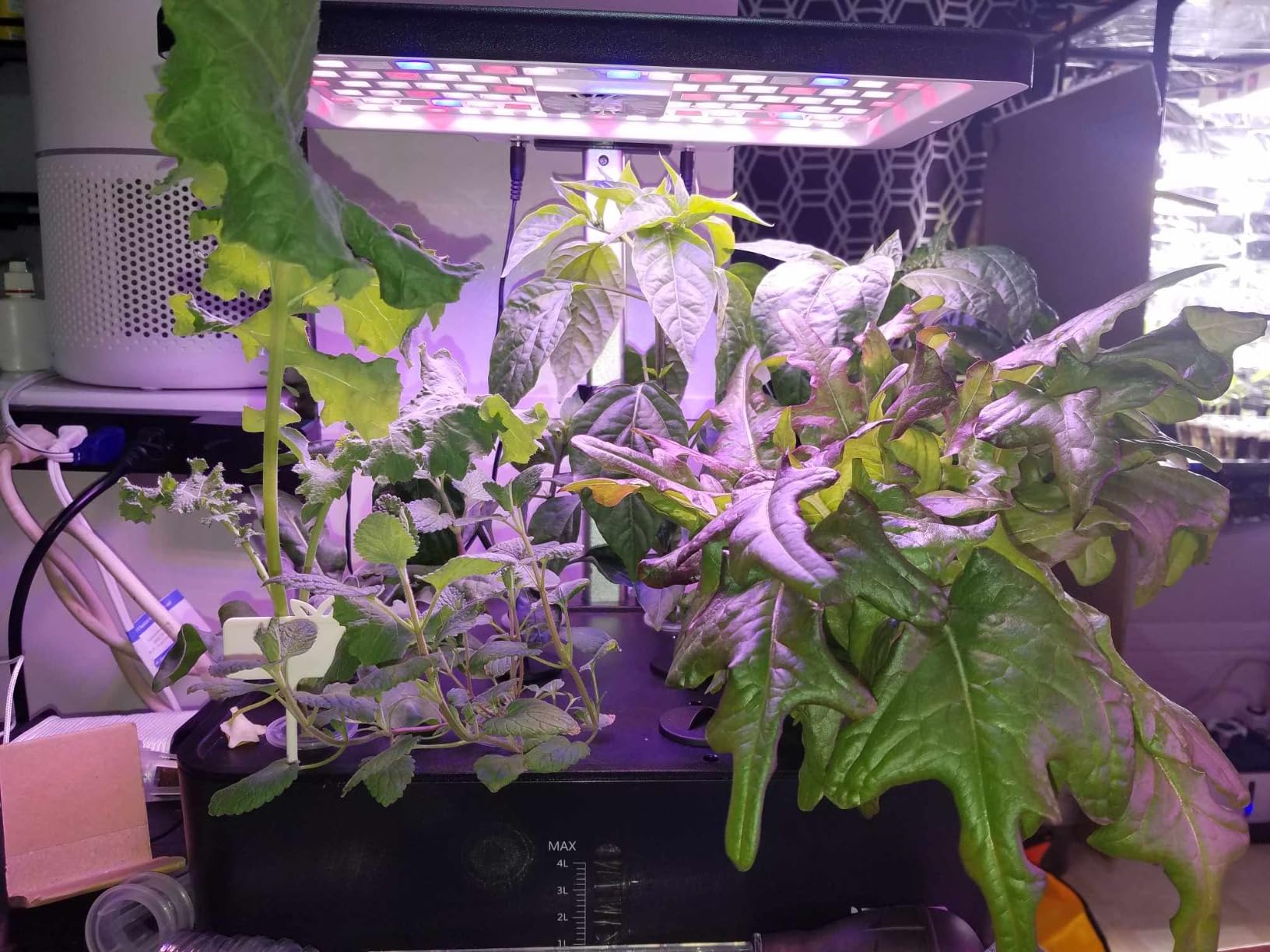 iDOO 12Pods Hydroponics Growing System Garden with LED Grow Light customer photo 1