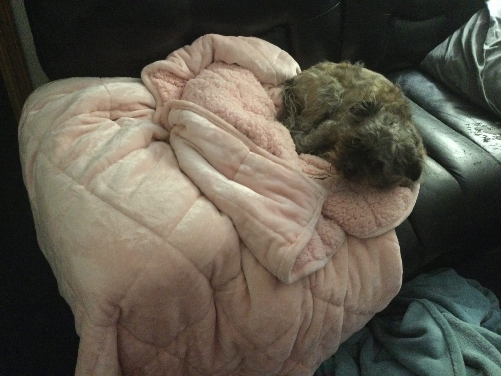 Lofus 20 lbs Weighted Blanket for Adults Queen Size 60