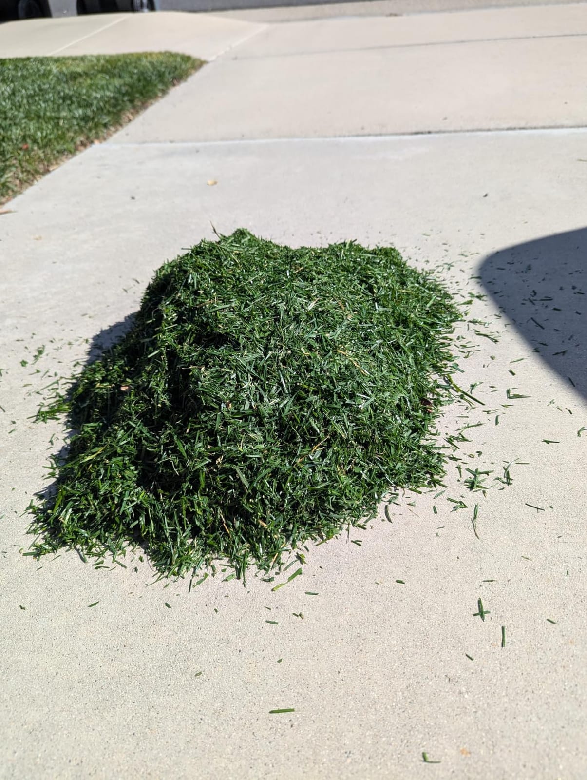 LawnMaster MEB1216K Electric Lawn Mower 16-Inch 12AMP customer photo 2
