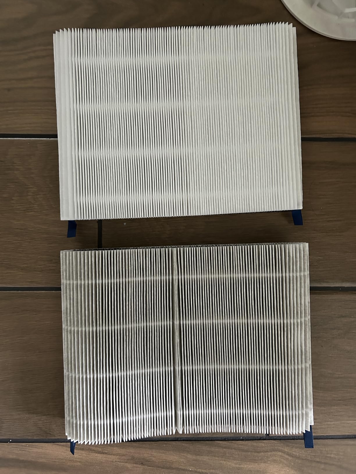 BLUEAIR Air Purifiers for Home Bedroom Dorm Office up to 907 Ft², Blue 511 customer photo 2