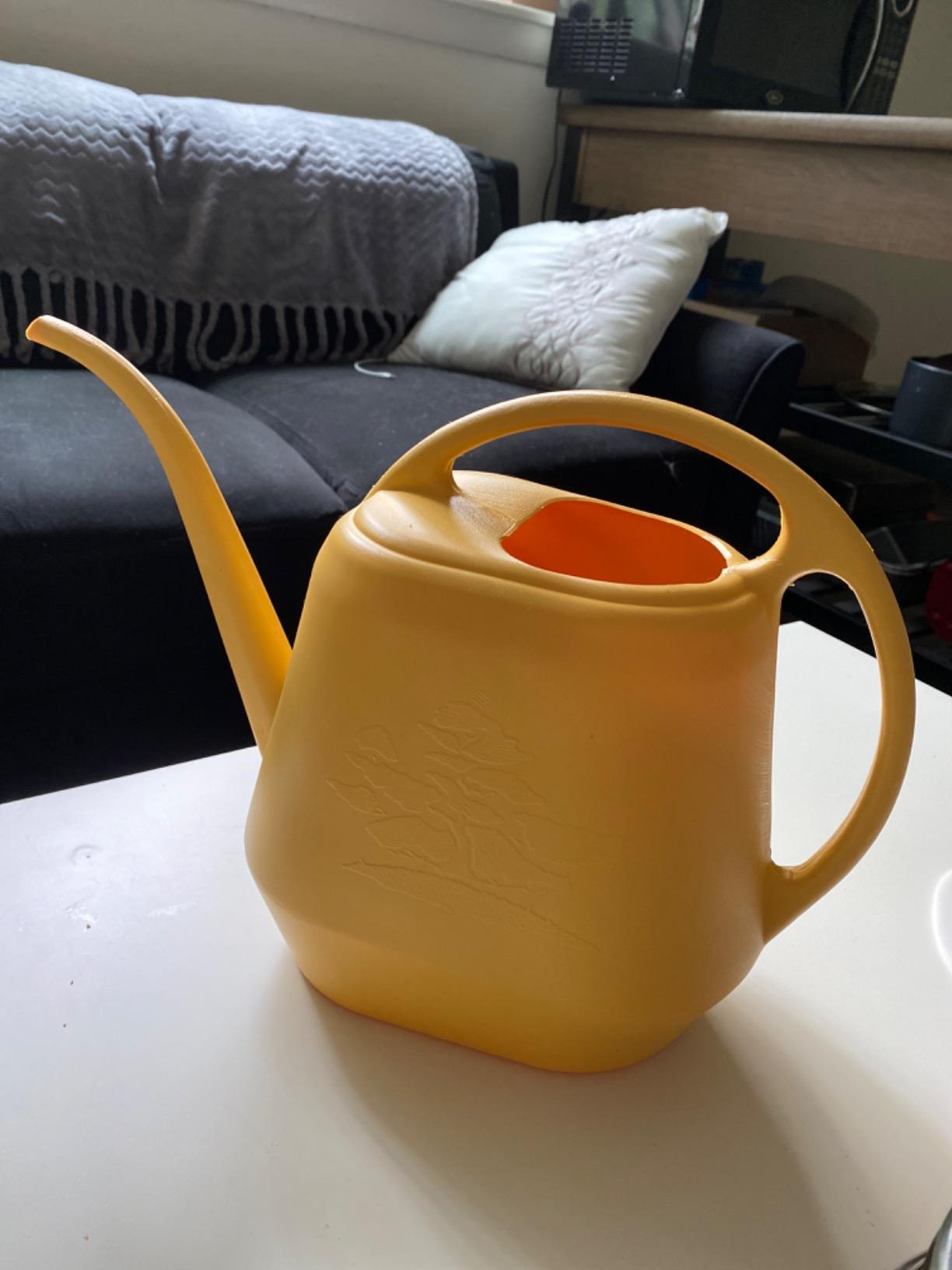 Bloem Aqua Rite Watering Can: 56 Oz - Classic Blue - Large Capacity, Extra Long Spout, Durable Plastic, One Piece Construction, for Indoor & Outdoor Use, Gardening customer photo 1