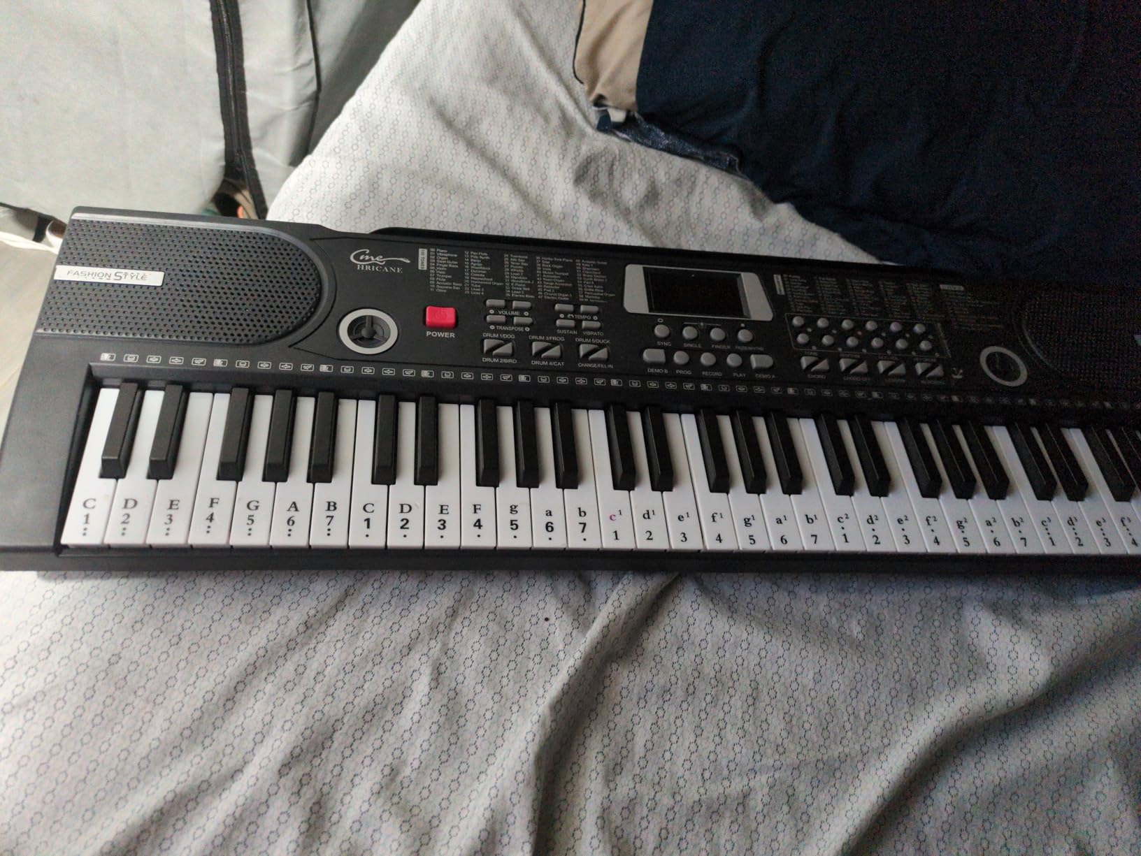 Keyboard Piano Lighted Keys for Beginner Adults Teens Kids, 61 Key Electronic Music Keyboard with Teaching Modes Powered by USB or Battery with LCD Display Microphone Headphone Jack customer photo 1