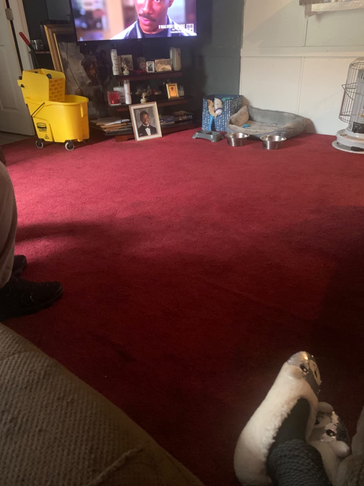 Prolux Core Heavy Duty 15 inch Floor Buffer Scrubber and Polisher Cleaning Machine - All floor surfaces customer photo 1
