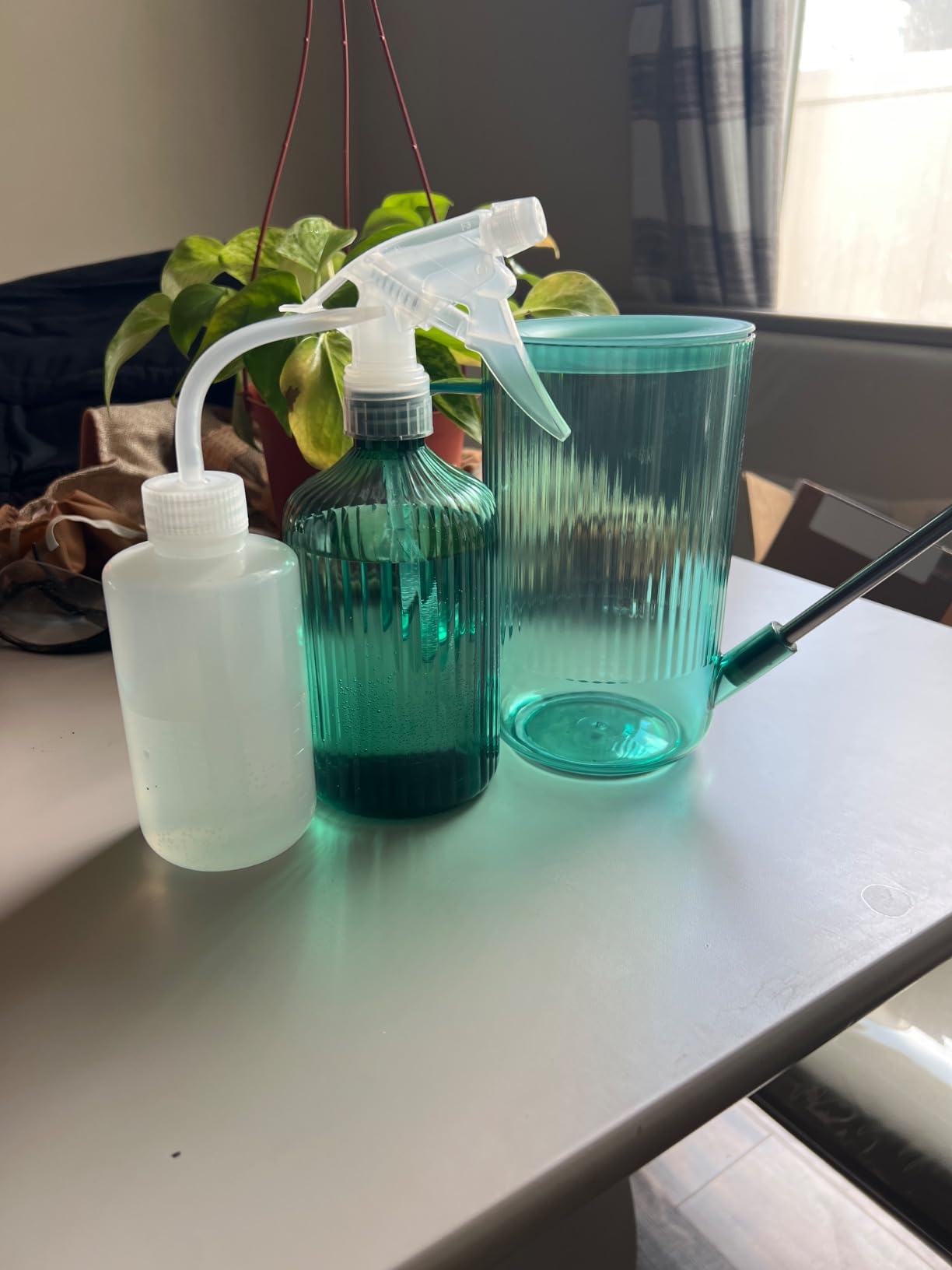 ONEDONE Watering Can Indoor Plants - Plant Watering Can 34 OZ, Long Spout Small Watering Can for House Plants Garden Potted Flowers with Spray Bottle, Squeeze Bottle Green customer photo 1