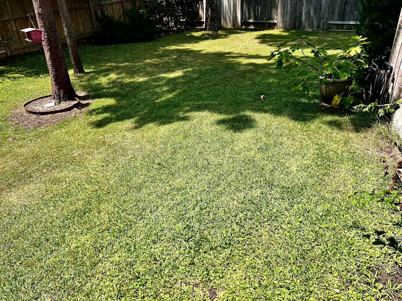 LawnMaster MEB1114K Electric Corded Lawn Mower 15-Inch 11AMP customer photo 1