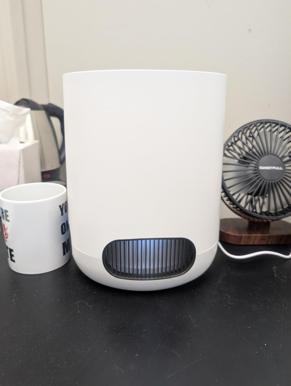 Clorox Small Room Air Purifiers for Bedroom Home, True HEPA Filter customer photo 1