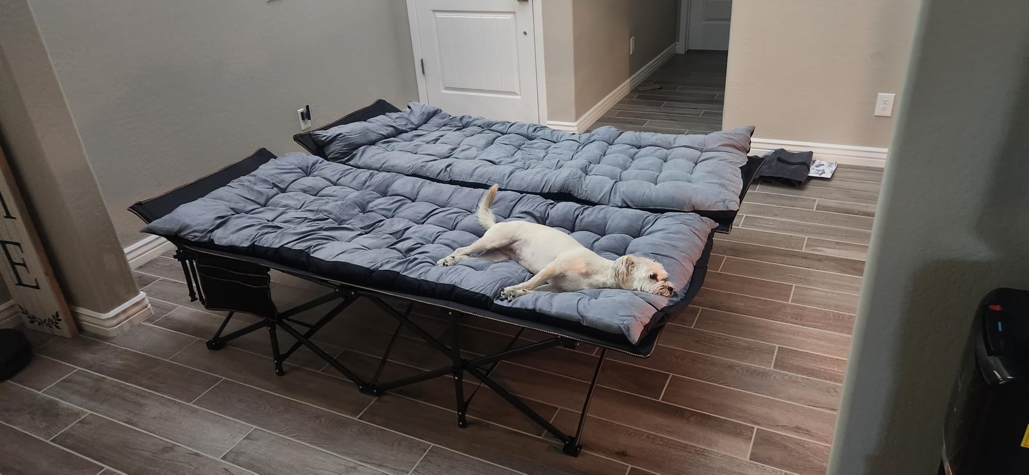 DoCred Folding Camping Cot with Mattress, 2 Pack Heavy Duty Folding Cot customer photo 2