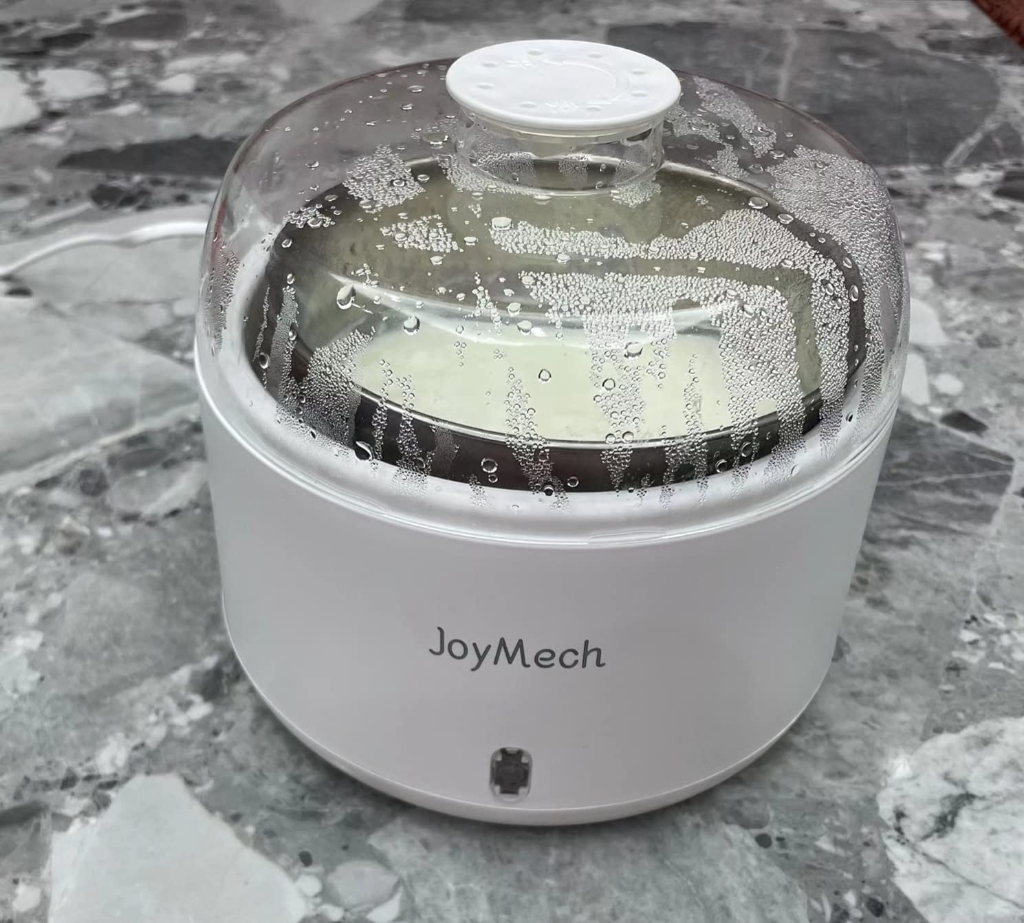 JoyMech Yogurt Maker, Compact Greek Yogurt Maker Machine with Constant Temperature Control, Stainless Steel Container, 1 Quart for Home Organic Yogurt customer photo 1