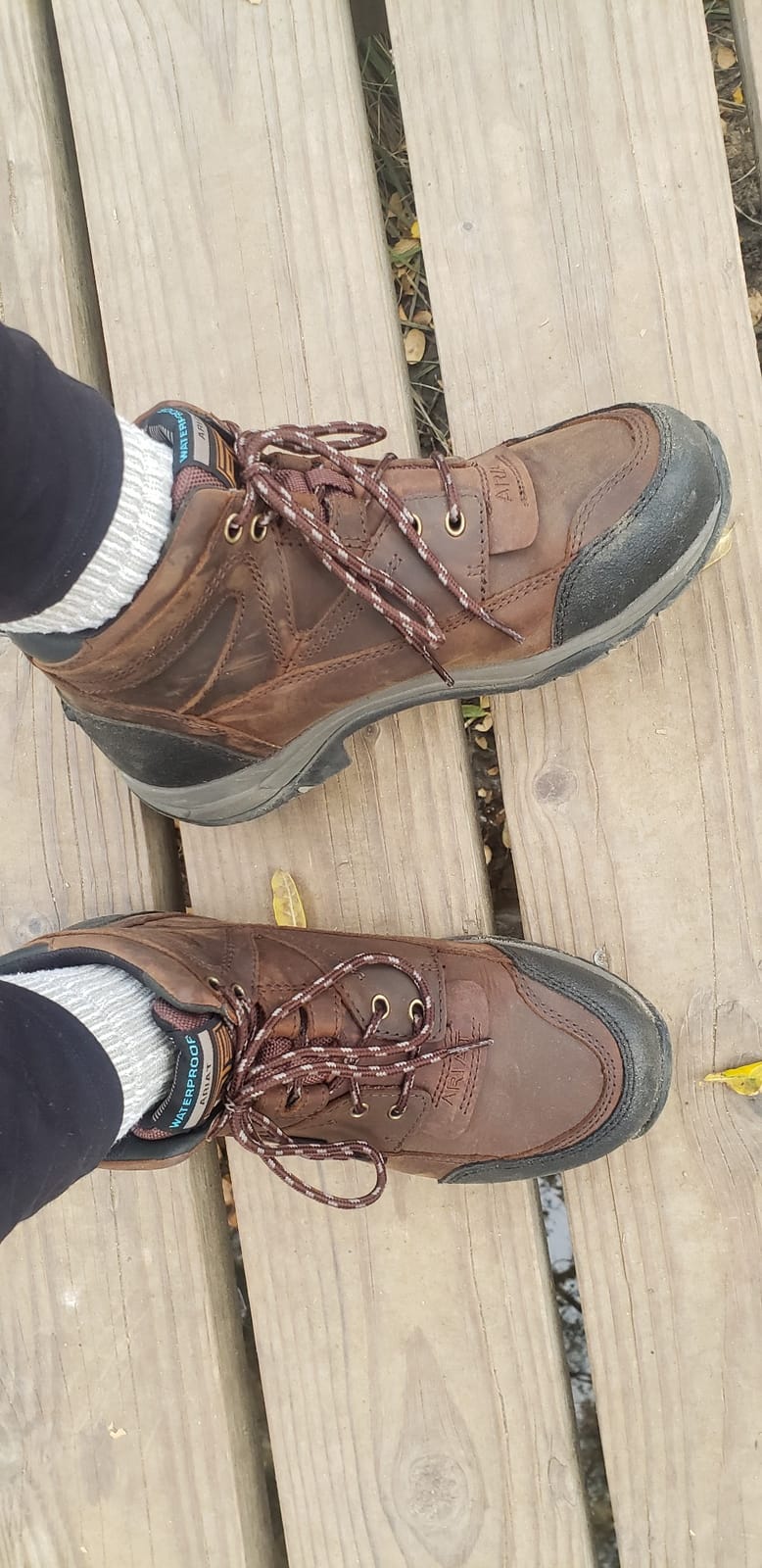 ARIAT Women's Terrain Waterproof Boots customer photo 1
