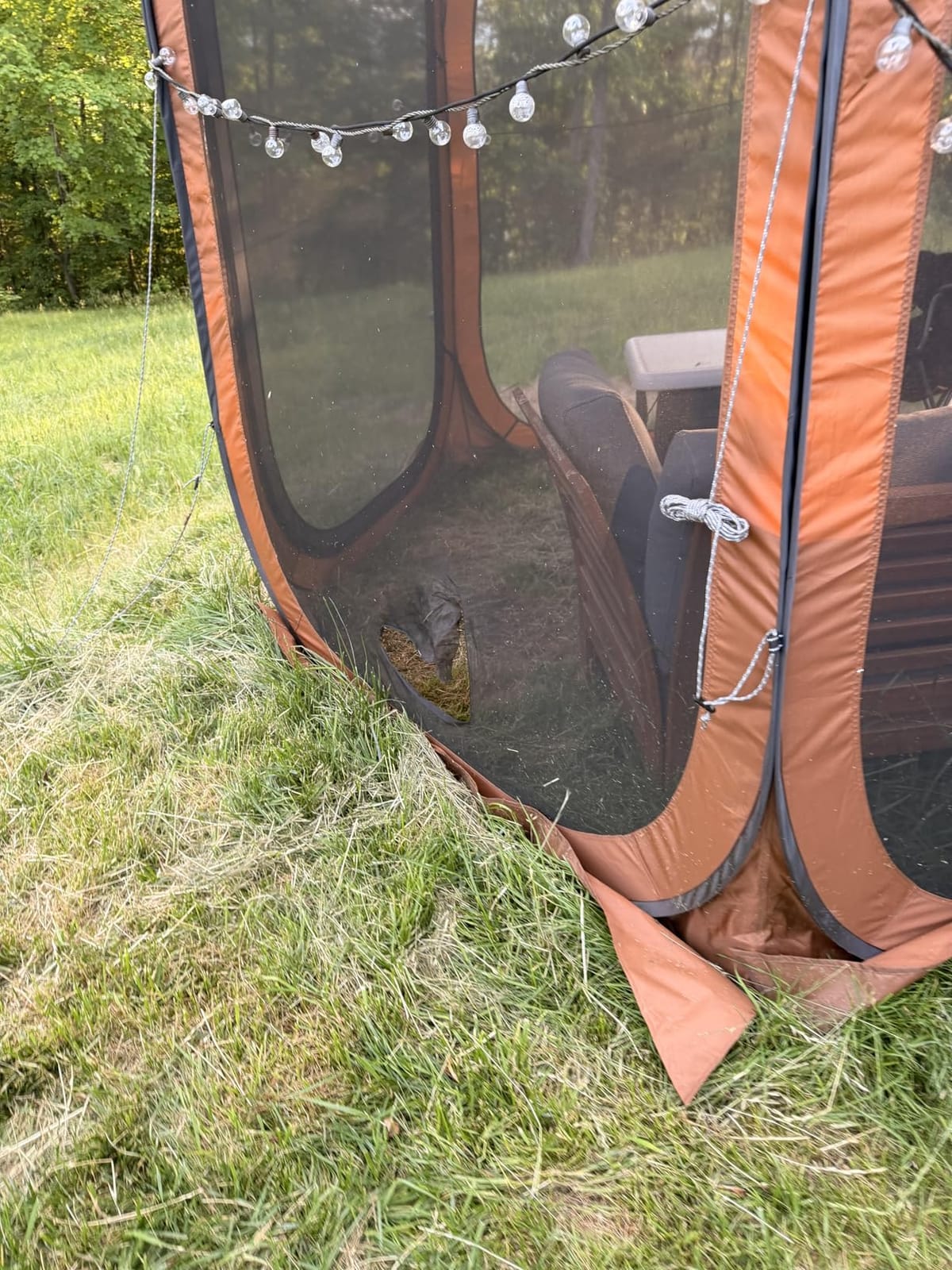 East Oak Pop up Screen Tent with Mosquito Netting, Portable Screen House Canopy Shelter, 10 x 10 FT Instant Screen Gazebo & UPF 50+ UV Protection for Patio, Backyard, Deck & Outdoor Activities, Beige customer photo 1