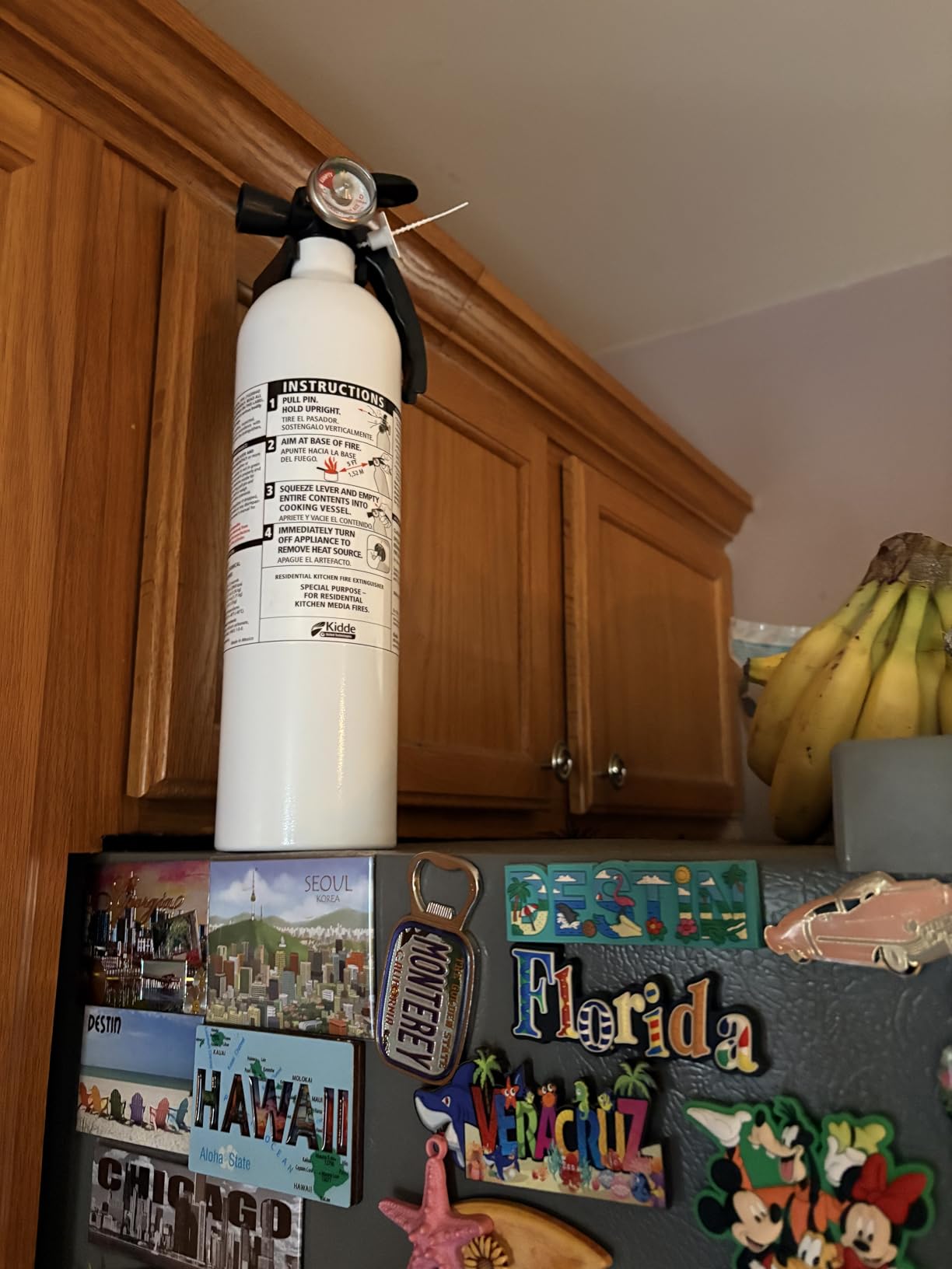 Kidde Kitchen Fire Extinguisher, 711A, RESSP customer photo 2