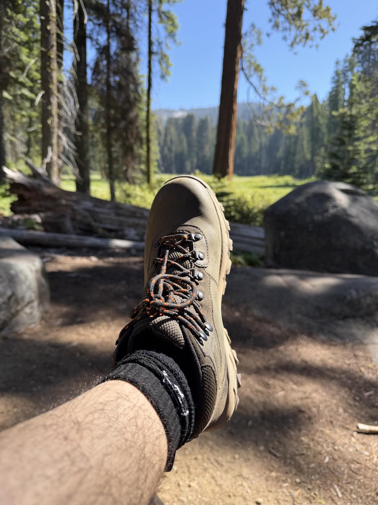 Columbia Men's Newton Ridge Plus Ii Waterproof Hiking Shoe customer photo 2
