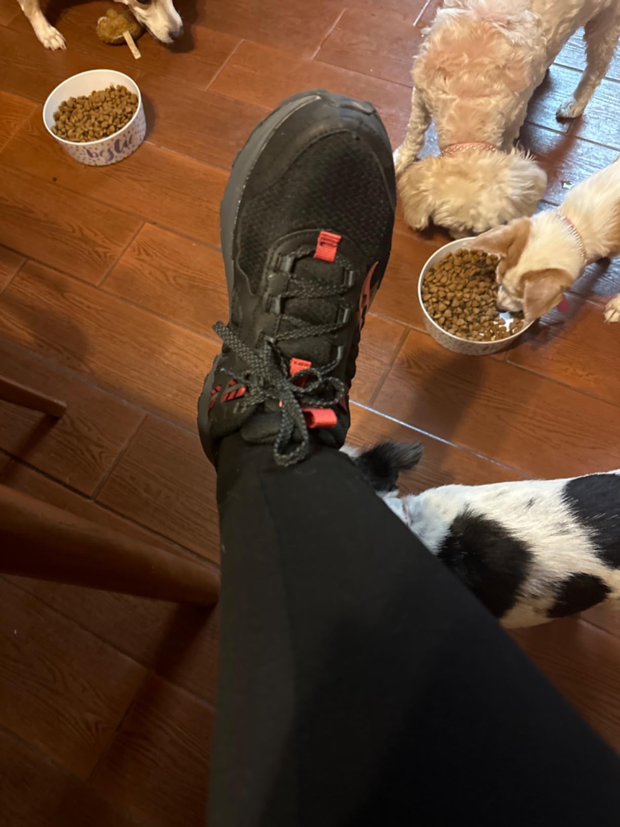Saucony Women's Excursion Tr17 Hiking Shoes customer photo 1