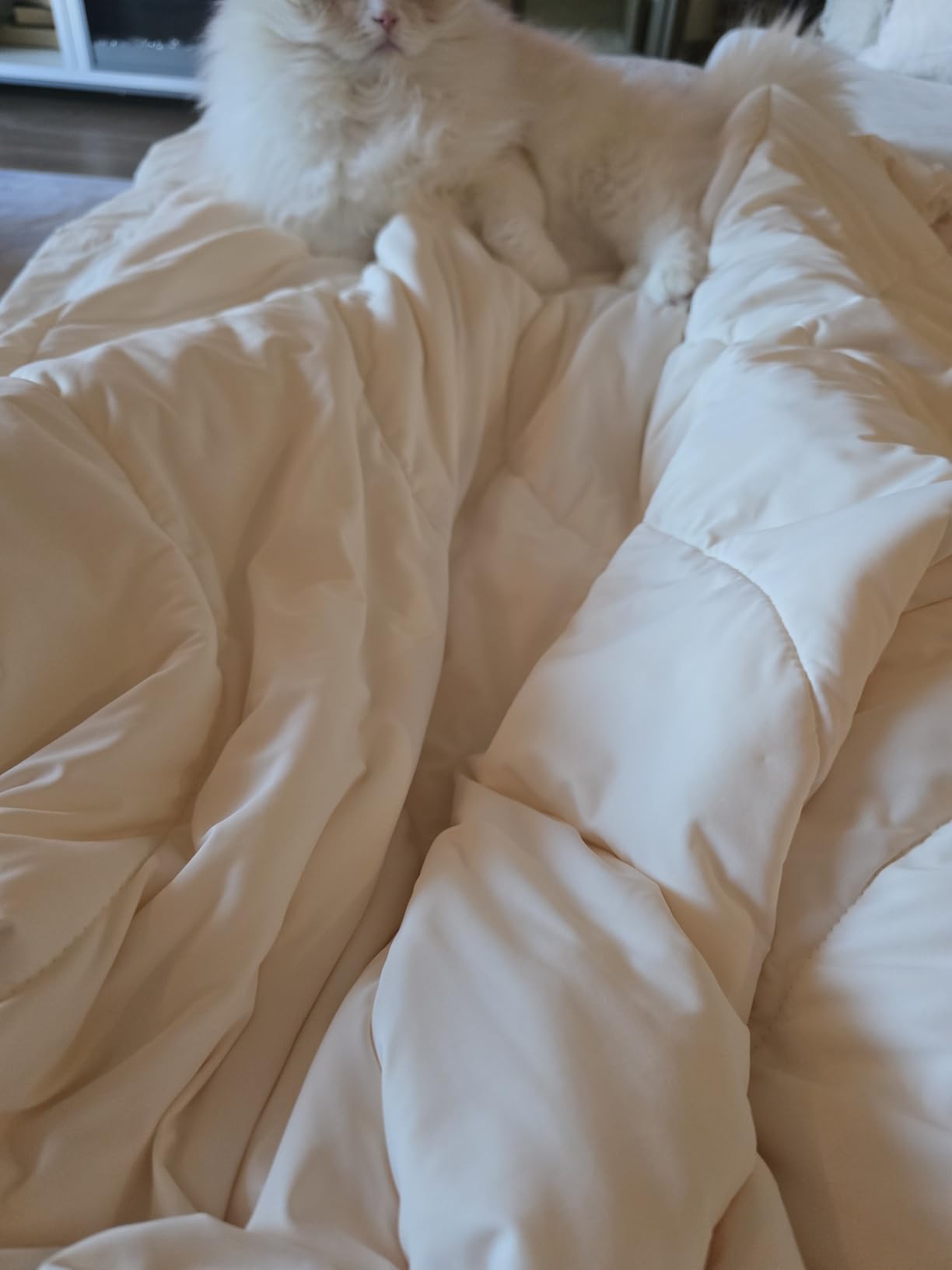 REST® Evercool® Cooling Comforter Blanket for Hot Sleepers, Full/Queen customer photo 2