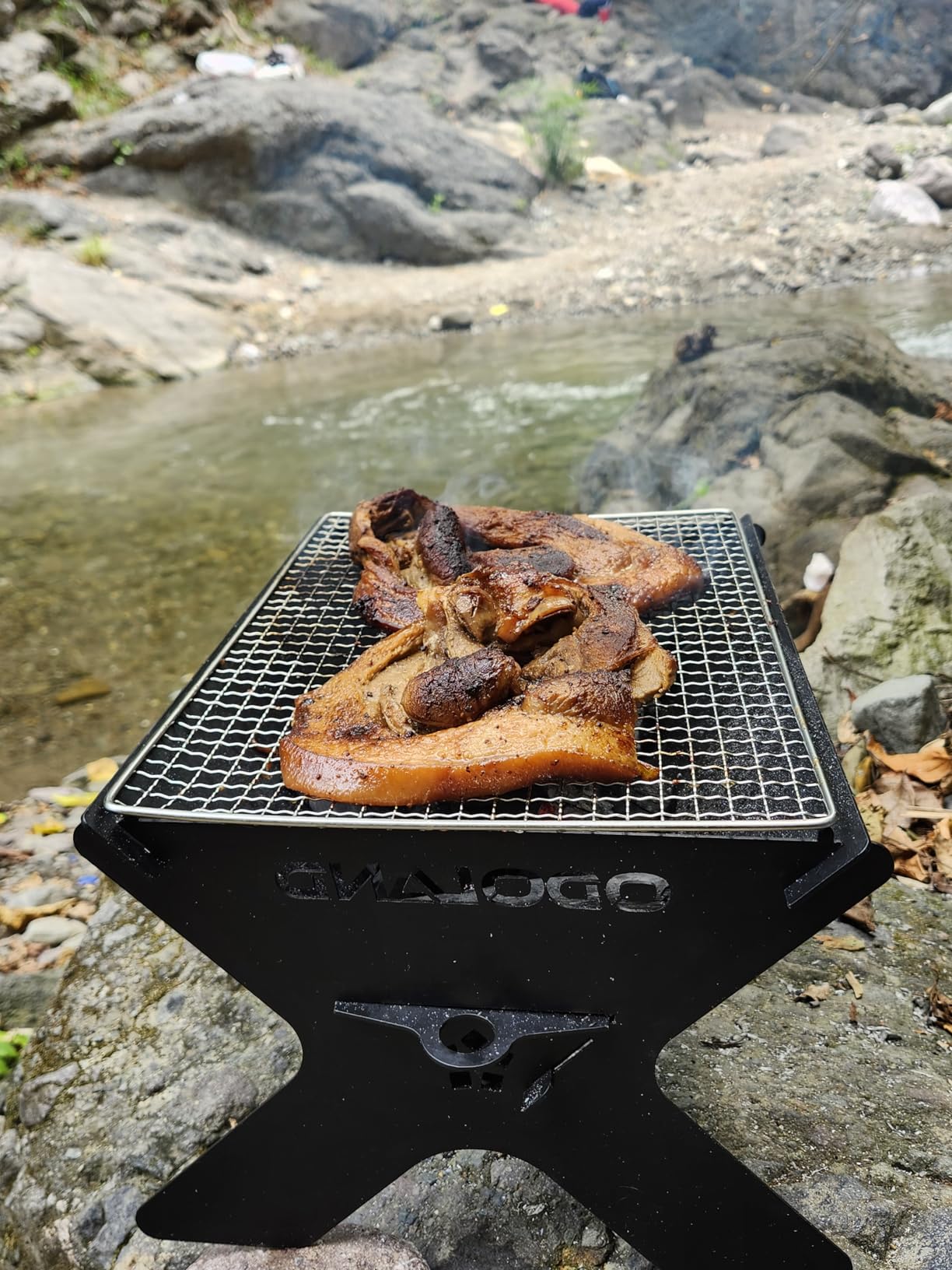 Odoland Portable Folding Charcoal Grills for Outdoor Cooking Bonfire BBQ customer photo 1