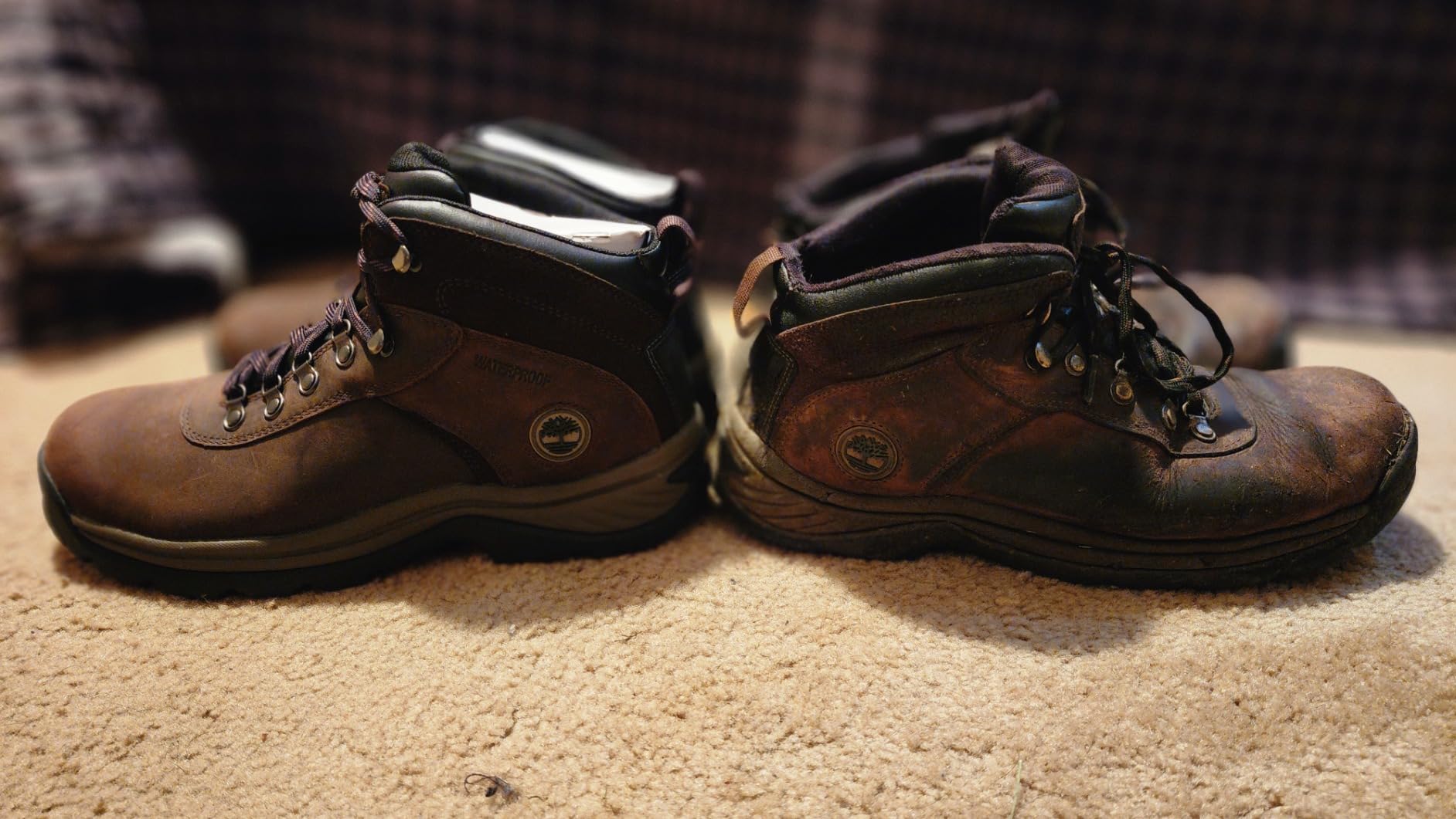 Timberland Men's Flume Mid Waterproof Hiking Boot customer photo 2