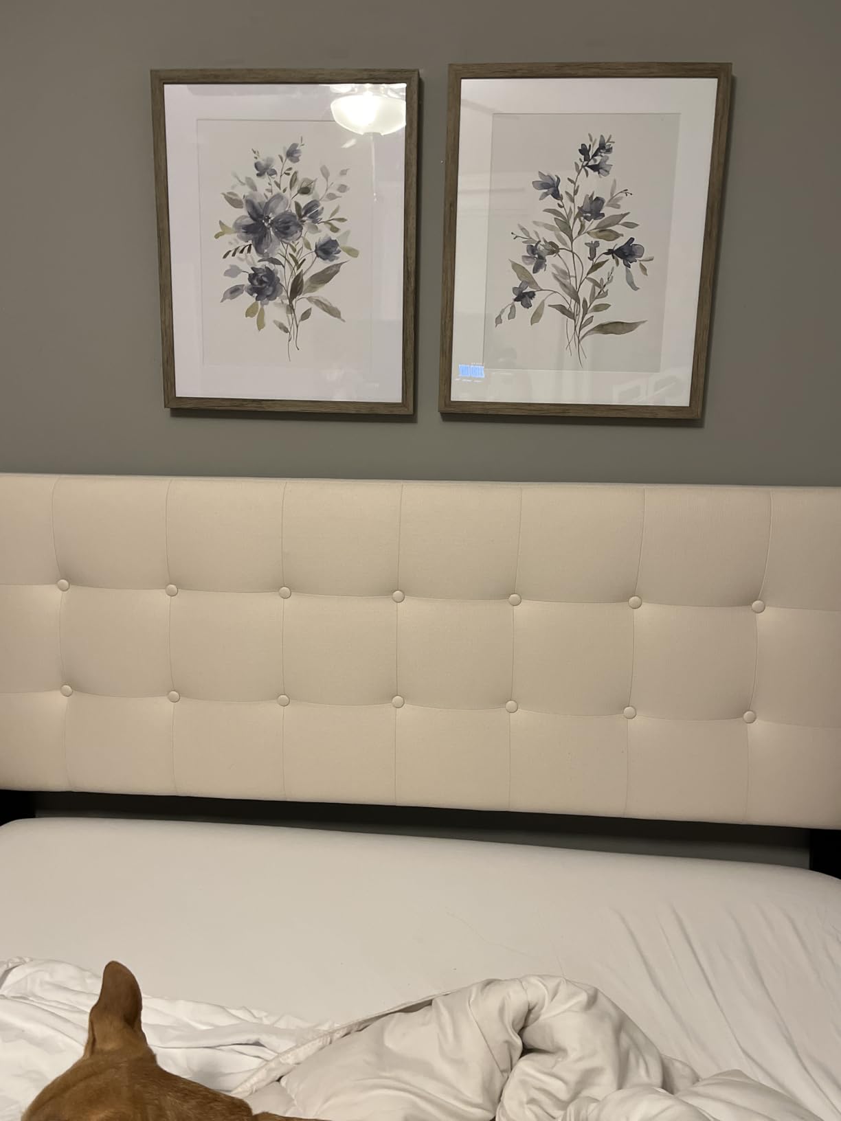 Zinus 5 Inch Twin Cooling Essential Memory Foam Mattress, Medium Feel customer photo 2
