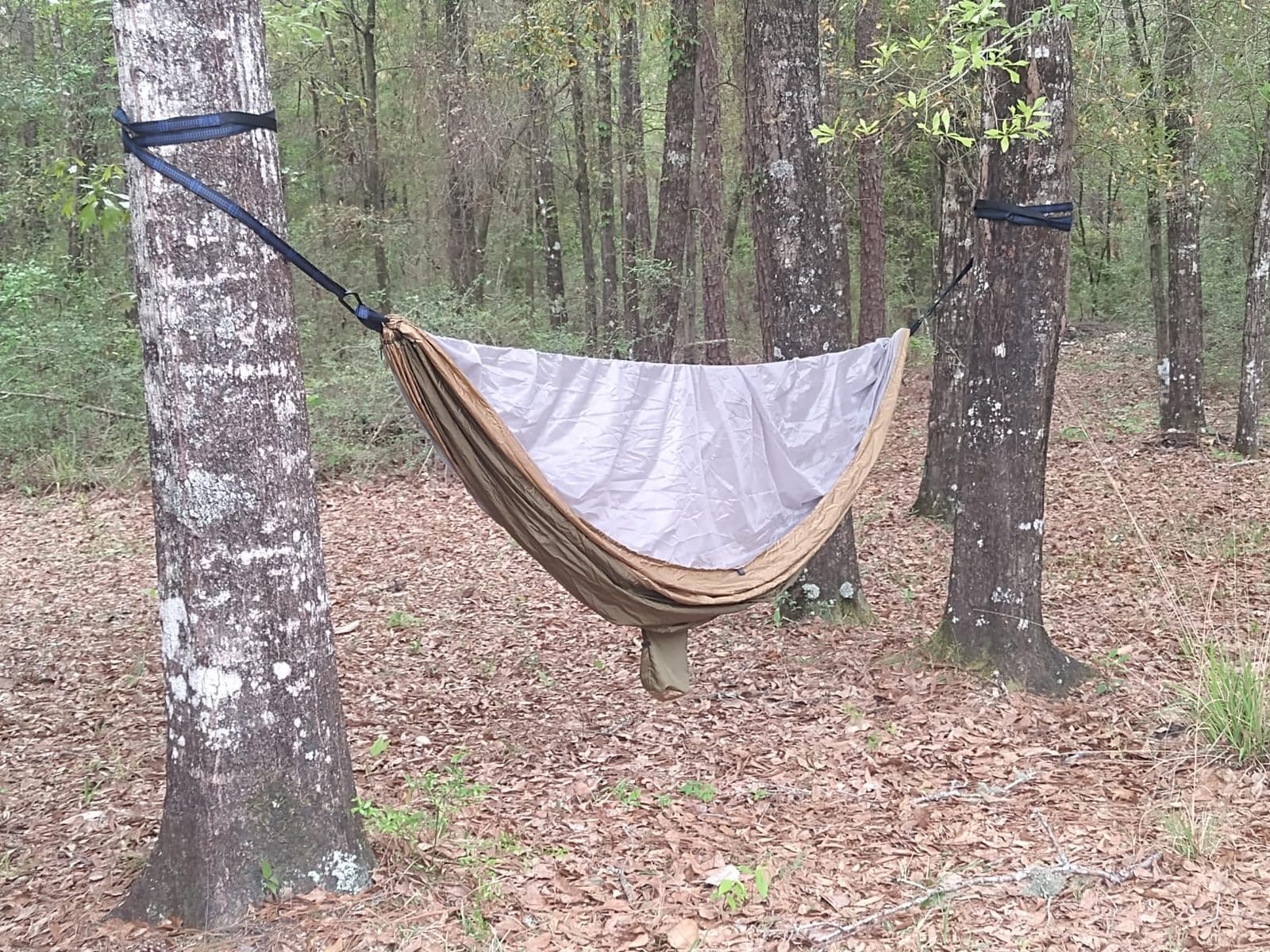 Camping Hammock, Portable Hammocks with Mosquito Net,Lightweight Nylon Parachute Hammock with 10ft Tree Straps,Camping Gear Must Haves for Travel Hiking Backpacking Beach Patio-Green&Khaki customer photo 2