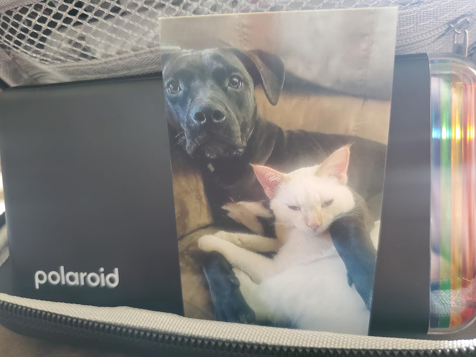Polaroid Hi-Print + Paper Bundle - 2nd Generation Bluetooth Connected 2x3 Pocket Photo Dye-Sub Printer - White Printer + 40 Photos (6438) customer photo 2