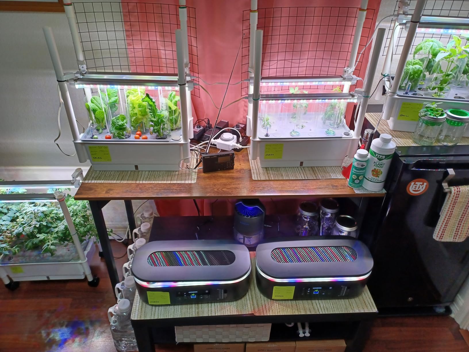 Hydroponics Growing System,AOONEG 42Pods Indoor Herb Garden with LED Grow Light,Hydroponics Growing System Kit with Automatic Timer,Pump System,Adjustable Height,No Seed customer photo 1