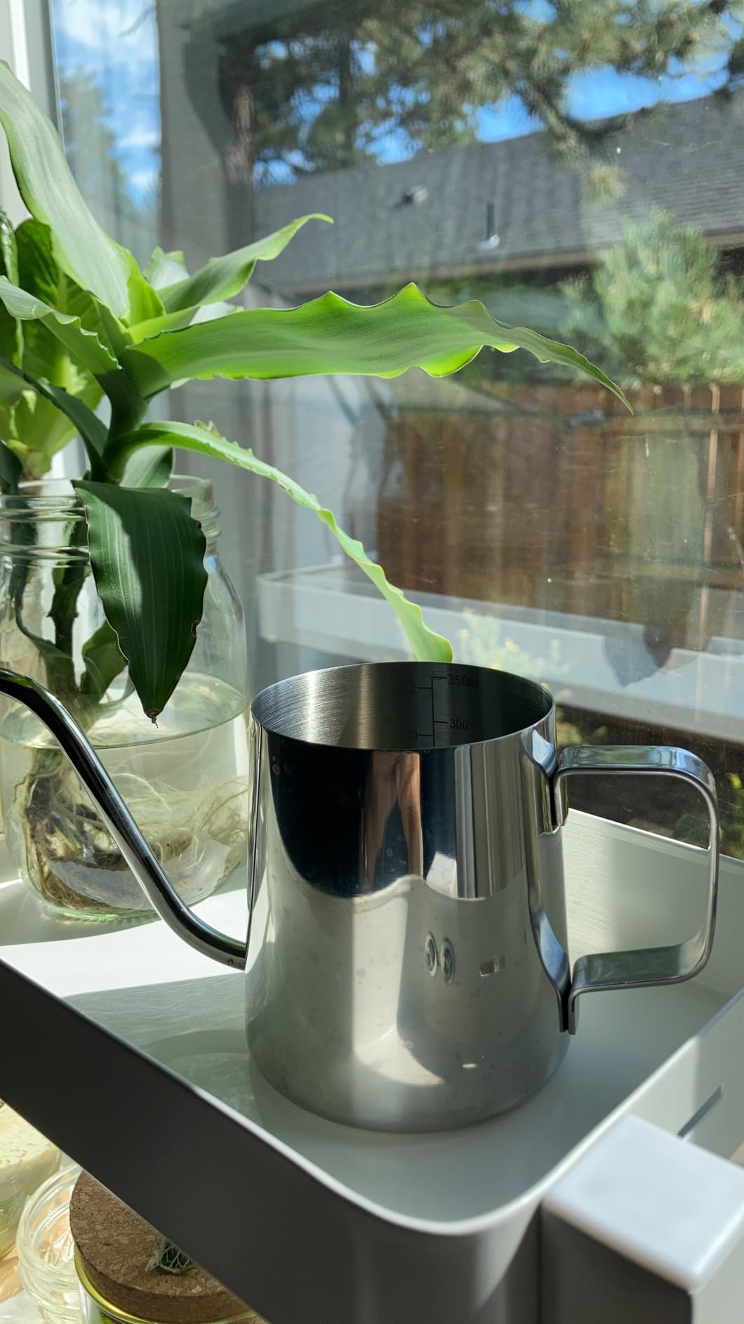 Doseno Small Watering Can for Indoor Plants, Plant Watering Can, 12 oz customer photo 1